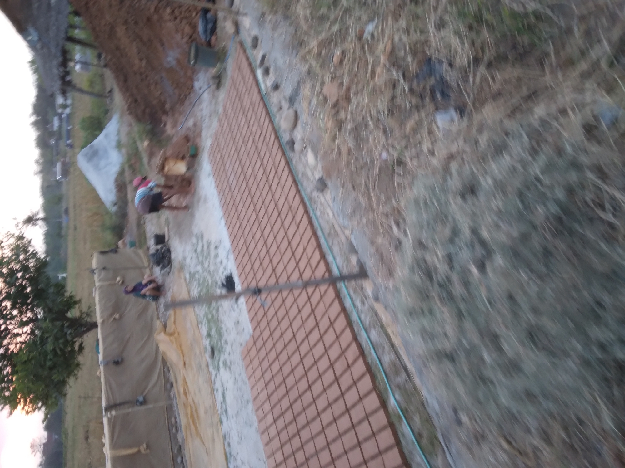 In Desa Pamijen, Kecamatan Sokaraja, Indonesia, an outdoor scene unfolds at what appears to be a brick-making or construction site. In the mid-ground, a person is crouched near a tan-colored tarp, partially obscured by a tree with green foliage. To the right of the tarp, a person in a red cap and dark shorts is bending over, working with soil or clay. Beside them, a pile of brown soil is visible. In front of these figures, a large area is covered with rows of reddish-brown tiles, arranged in a grid pattern. A thin blue hose runs along the edge of the tiled area. The background shows a dry, grassy field with sparse trees and a few structures, suggesting a rural or semi-rural setting. The overall lighting indicates it might be late afternoon or early morning.