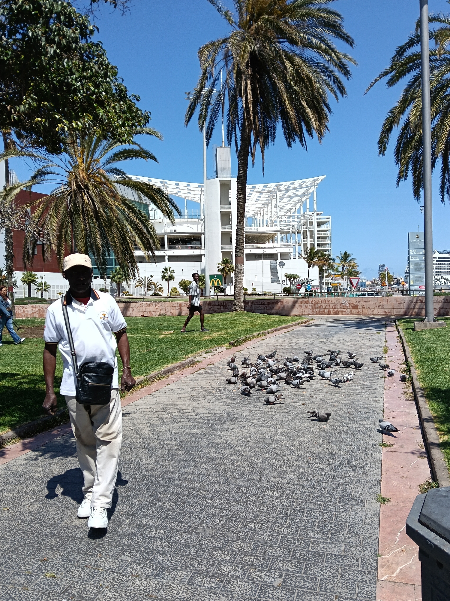 A daytime shot features a man walking toward the viewer on a paved path in Las Palmas, Spain. The man is wearing a white polo shirt, beige pants, white shoes, and a light-colored baseball cap. He has a black bag slung across his body. To his right, a flock of pigeons occupies the pathway. The pathway is flanked by grassy areas, with palm trees and buildings visible in the background. The sky is clear and blue. The architectural style of the buildings in the background suggests a modern or renovated area of the city.