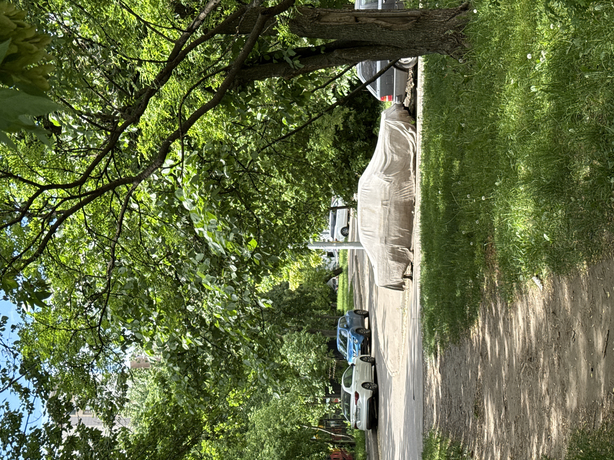 The image shows a street in Moscow, Russia, on a sunny day. A car covered with a beige car cover is parked on the side of the road. Additional cars, including a white one and a blue one, are parked further down the street. The road is flanked by green grass and trees that provide shade. The scene appears to be a residential area.