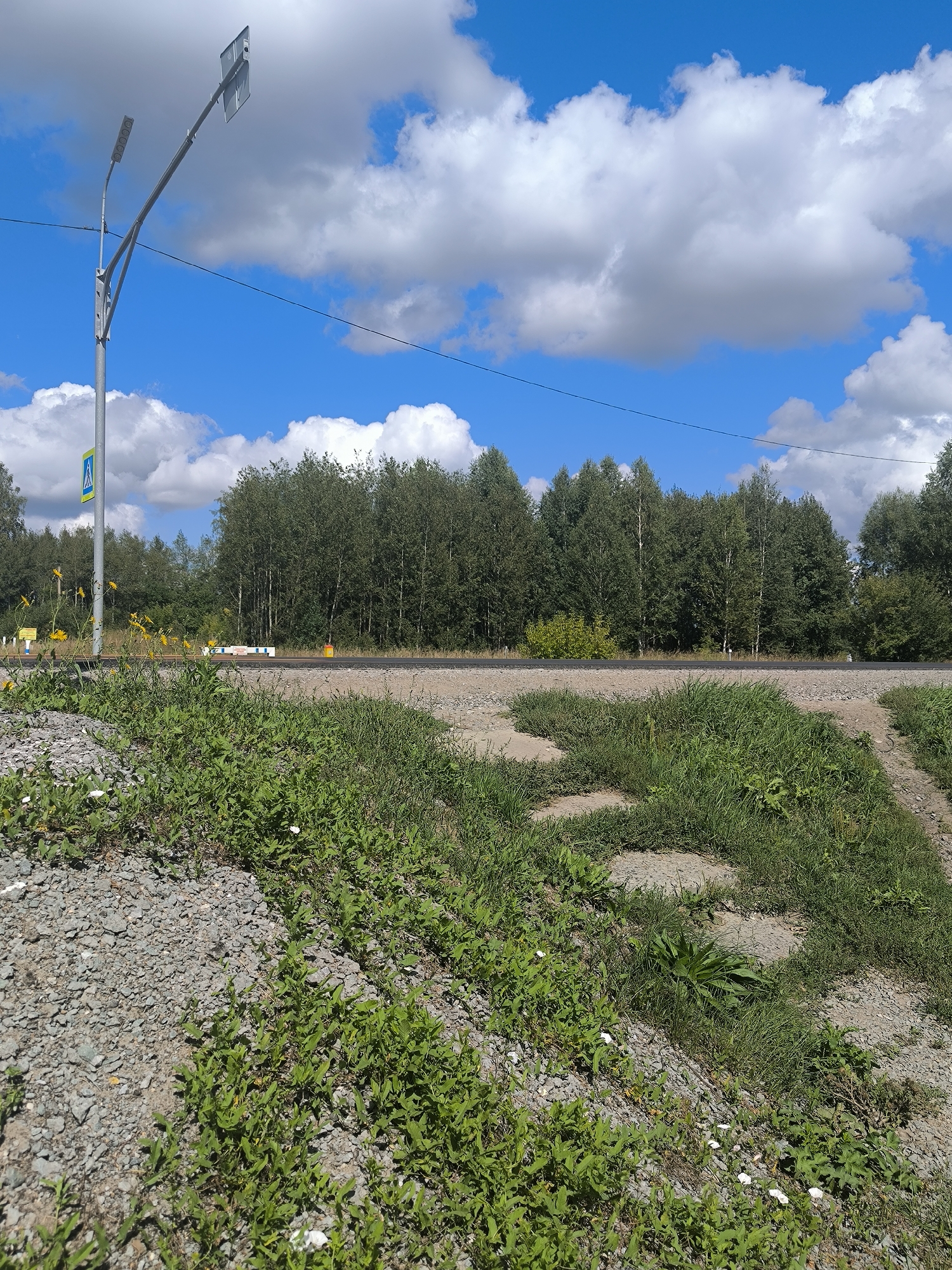 The image depicts a street scene in the city of Maiskii, Russia, on a clear, sunny day with scattered clouds. In the foreground, a gravel slope covered in green grass and small white flowers descends to the left. The middle ground features a paved road running horizontally across the frame. Beyond the road, a dense line of trees forms a natural backdrop. A modern streetlamp with two lights stands on the left side of the road, near a pedestrian crossing sign. In the distance, along the road, there are several yellow and white marker posts. The overall environment appears to be a semi-rural or suburban area.