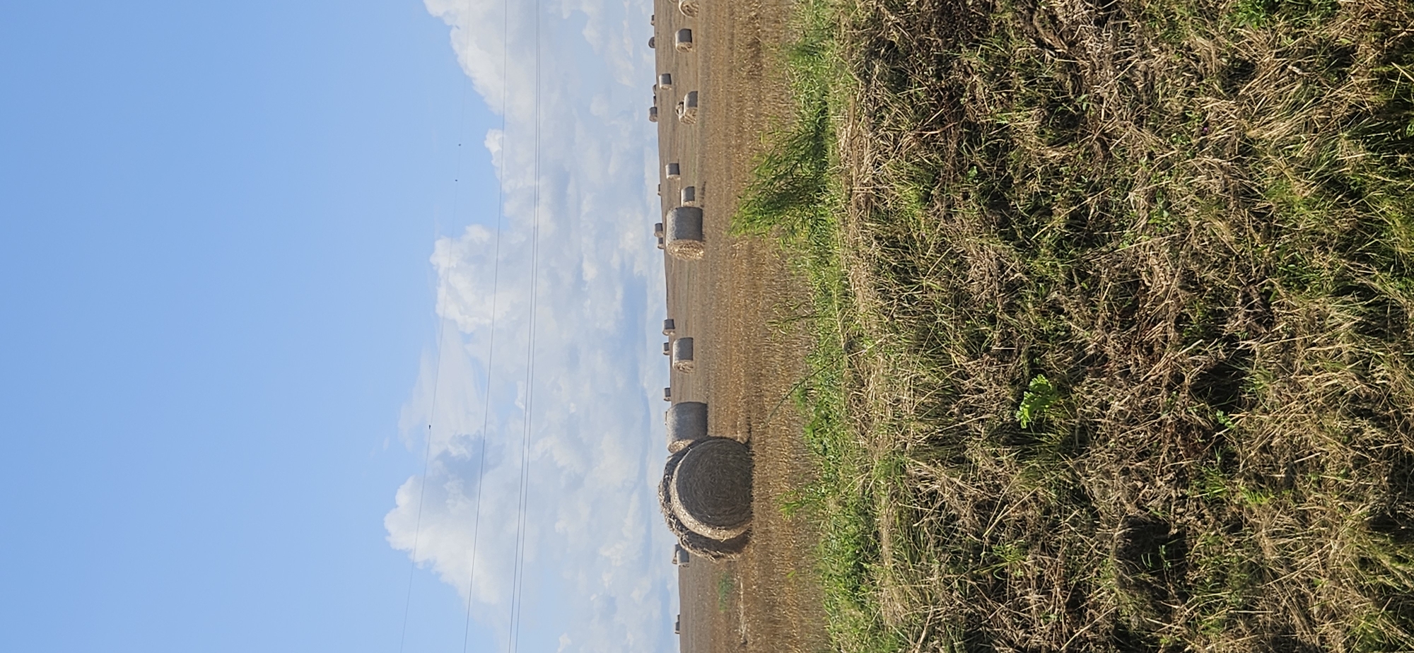 The image depicts a rural landscape under a bright blue sky with scattered white clouds. In the foreground, there is a patch of rough, dry grass and some green shoots. Beyond this, a harvested field stretches into the distance, dotted with numerous round hay bales. A few power lines are visible suspended in the sky, running horizontally across the frame. The scene appears to be a farm field in Лятчанскі сельскі Савет, Belarus, after the harvest.