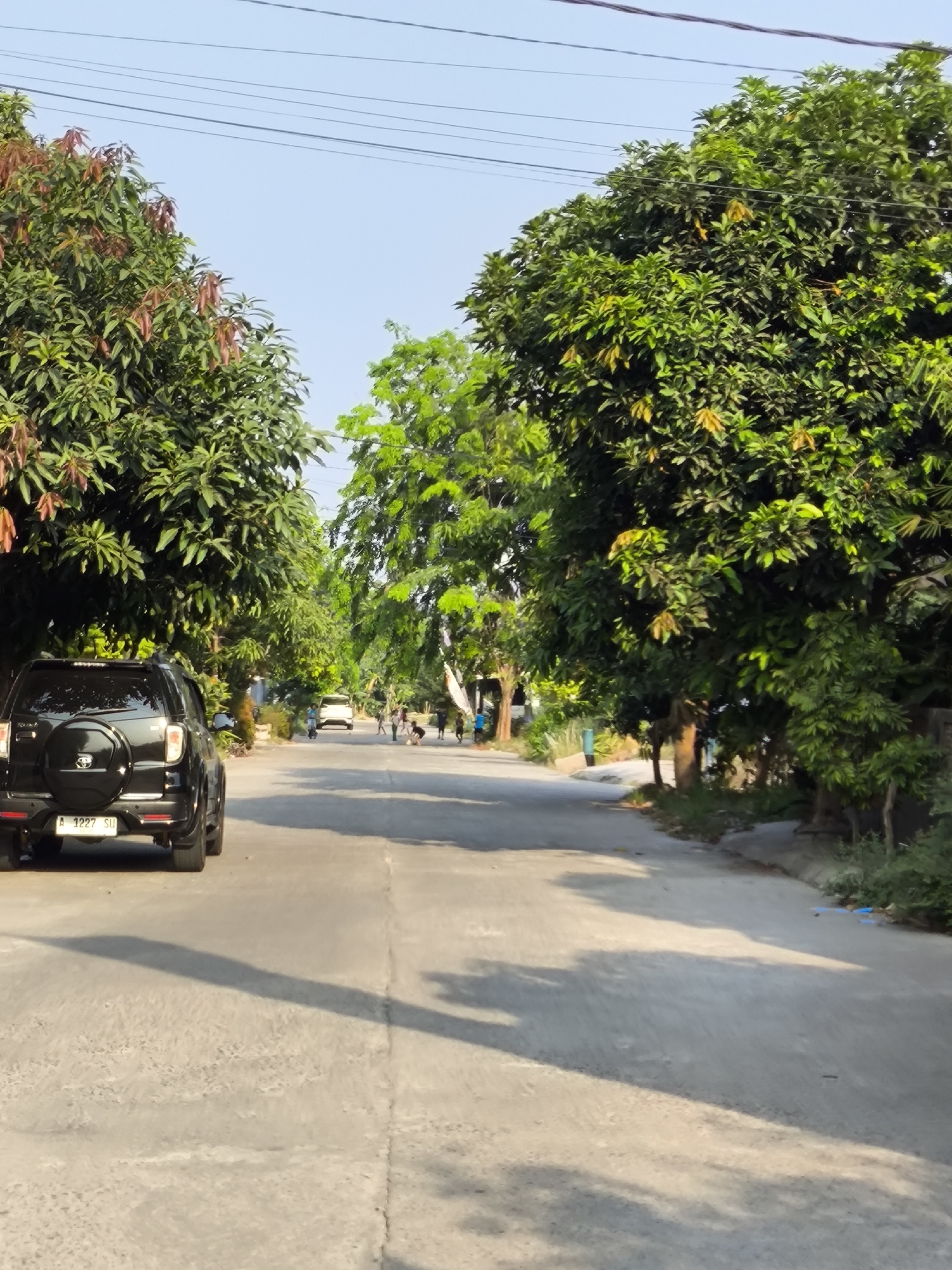 The image depicts a street scene in Cilegon, Indonesia, on a clear day with a blue sky. The street is paved and lined with lush green trees on both sides, with some trees exhibiting reddish-brown new leaves. In the foreground on the left, a black SUV is parked, facing away from the camera, with a spare tire mounted on its rear. The SUV has a license plate visible that reads "A 1227 SU". Further down the street, a white vehicle is visible, and several people, including children, are scattered along the roadside. Some of the people appear to be walking or engaged in activities, suggesting a residential or community area. Power lines are strung across the top of the frame, indicating the presence of infrastructure. The overall atmosphere is that of a typical day in a residential area with greenery and moderate activity.
