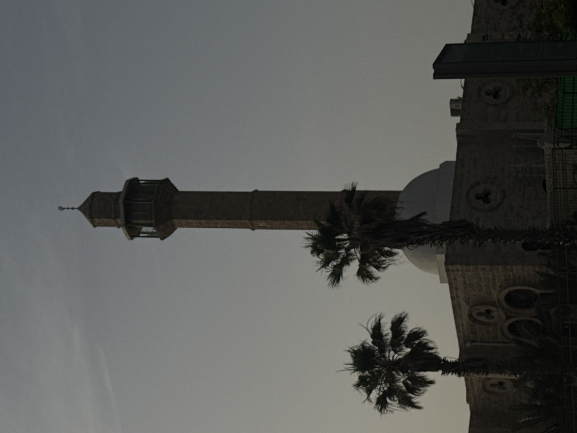 The image shows the Great Mosque of Jaffa in Tel Aviv, Israel. The minaret stands tall against the sky, and two palm trees are in the foreground. The mosque's dome is visible behind the trees. The building's stone facade shows architectural details.