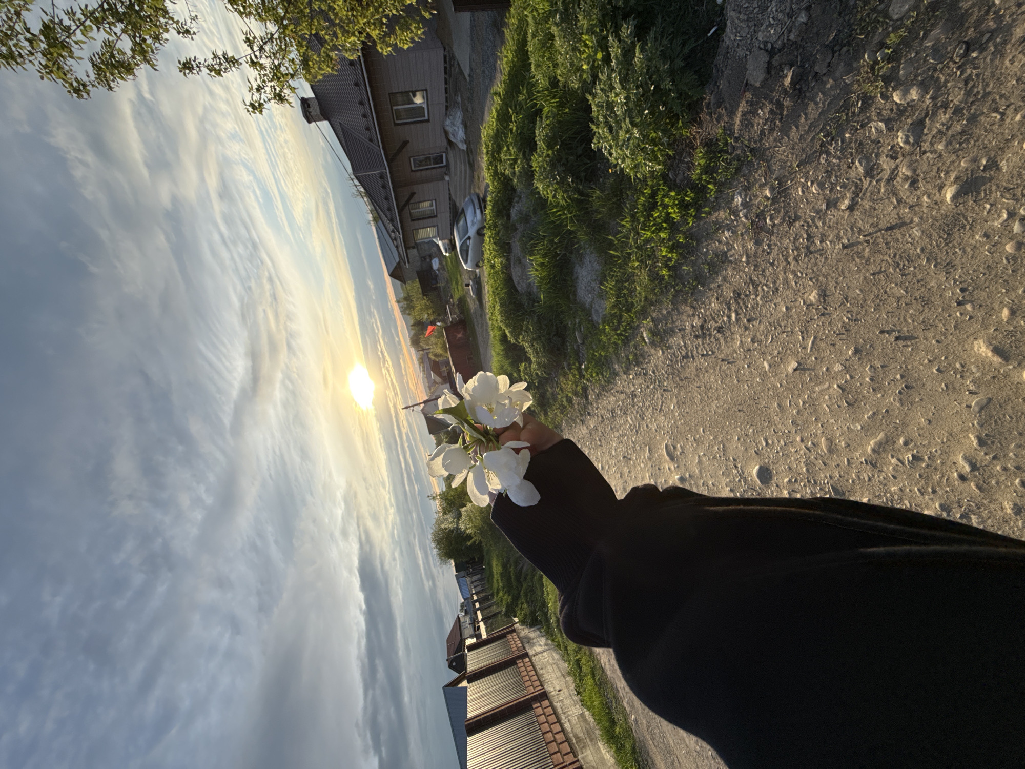 The image shows a view from a person's perspective, holding white flowers. The sky is visible with streaky clouds and the sun low on the horizon. To the left, there's a brick fence and residential buildings, including a house with multiple windows. To the right, a dirt path is flanked by green vegetation and more houses. The location is likely a residential area in Dzerzhinsk, Russia, based on the style of the houses and landscape. A car is parked near one of the houses. The person's arm, clad in a black sleeve, is visible in the foreground.