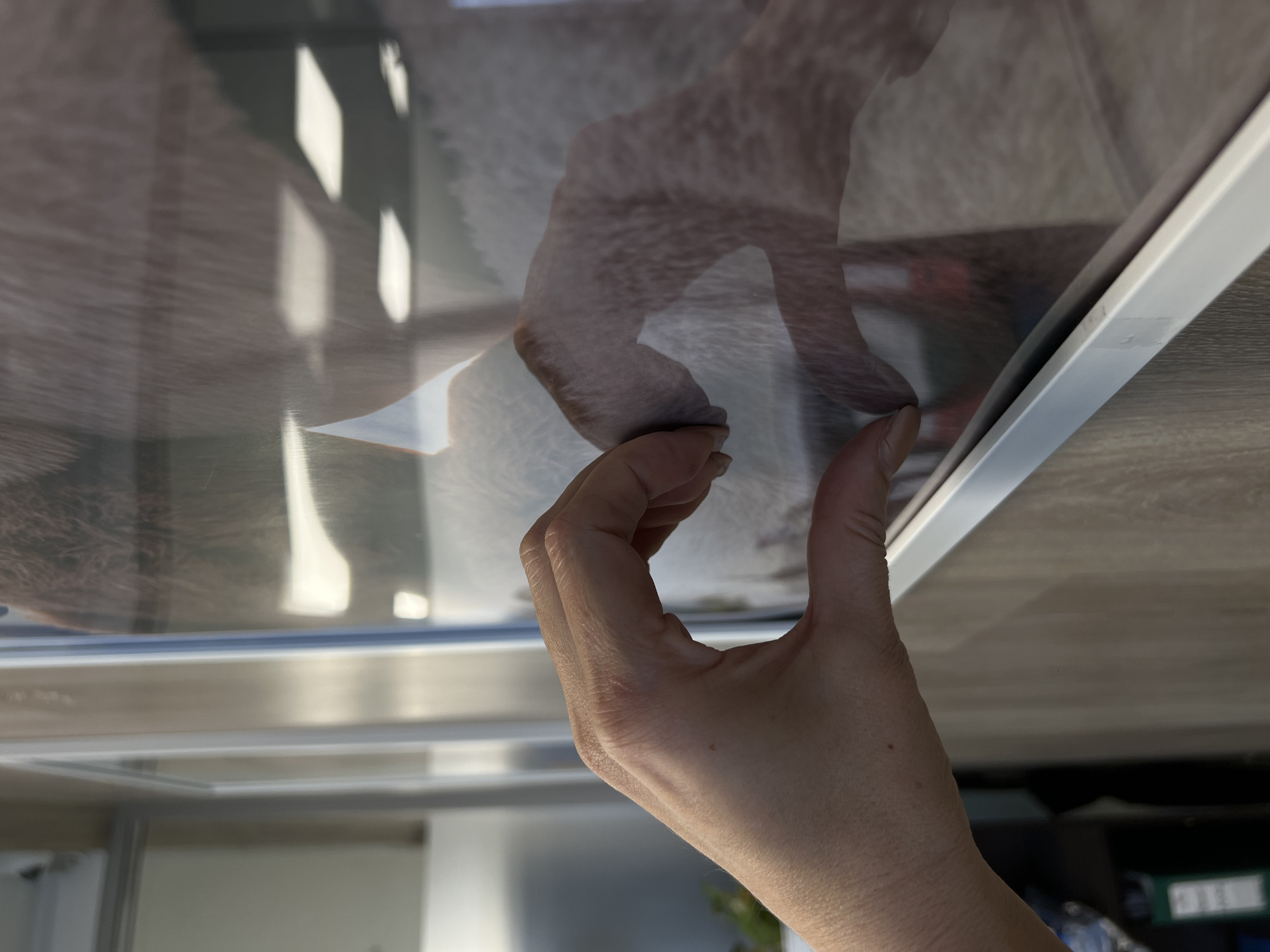 A human hand is holding up the edge of a framed photo. The hand appears fair-skinned. The frame is silver. A partial reflection of a light-furred animal, possibly a dog, is visible in the photo's surface. The location cannot be determined from the image.