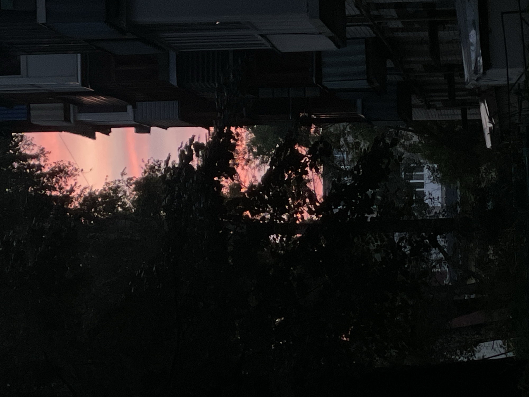 The image shows a view between a dark tree on the left and a building on the right, revealing a pink and orange sky at dusk. The building, a multi-story apartment block, is dark and textured, with visible balconies and windows. The tree is dense with foliage, partially obscuring the sky. The scene appears to be an urban residential area. The location is in the city of Kstovo, Russia.
