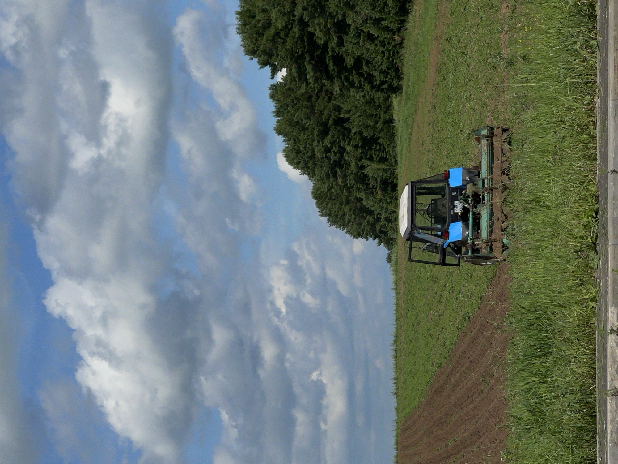 A blue and white tractor is plowing a field. The tractor has a cab with a white roof and blue sides, and a black frame around the windows. It is attached to a green plow that is turning the soil, creating furrows. The field is partially plowed, with brown soil visible where the plow has been, and green grass and some crops in the unplowed areas.
To the left of the field, there are tall, dark green trees. The sky is blue with fluffy white and gray clouds. The light suggests it is daytime, possibly late morning or afternoon. The overall scene is rural. There is a gray, paved surface along the right edge of the image, possibly a road or path. No people are visible. There is some text on the back of the tractor, but it is difficult to read clearly.