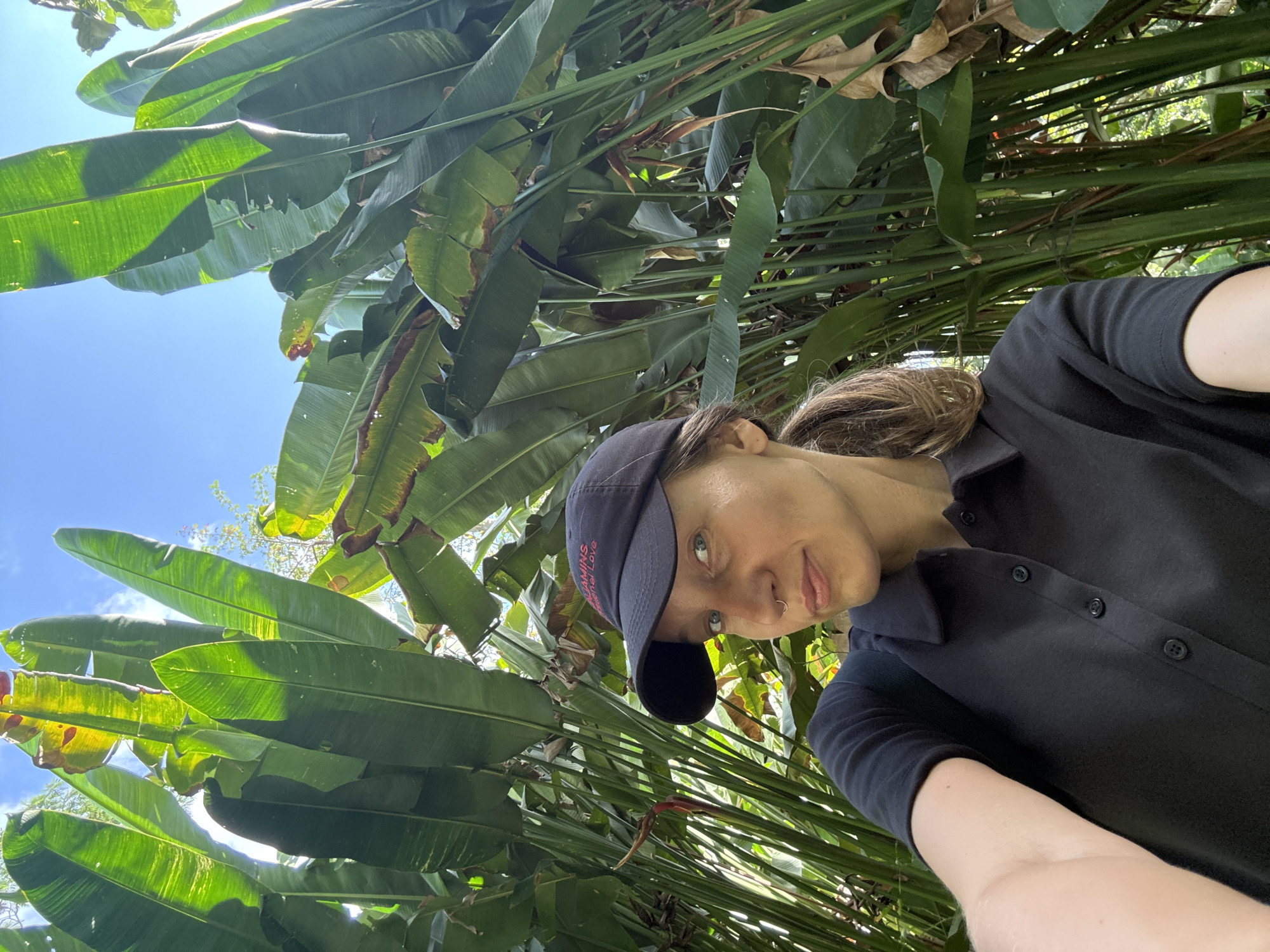 A young woman is taking a selfie outdoors, surrounded by lush green foliage. She is wearing a black polo shirt and a dark baseball cap that has red lettering. The cap has the words "TAMING THE WILD" and "TRUE LOVE" visible. The woman has a nose ring and is looking towards the camera with a slight smile. The sun is shining brightly, casting shadows on the large, broad leaves of tropical plants, suggesting it is daytime. The image captures a vibrant, natural setting, possibly a garden or park, in Kuta Selatan, Indonesia. The woman's pose and expression convey a sense of enjoyment and relaxation in the tropical environment.