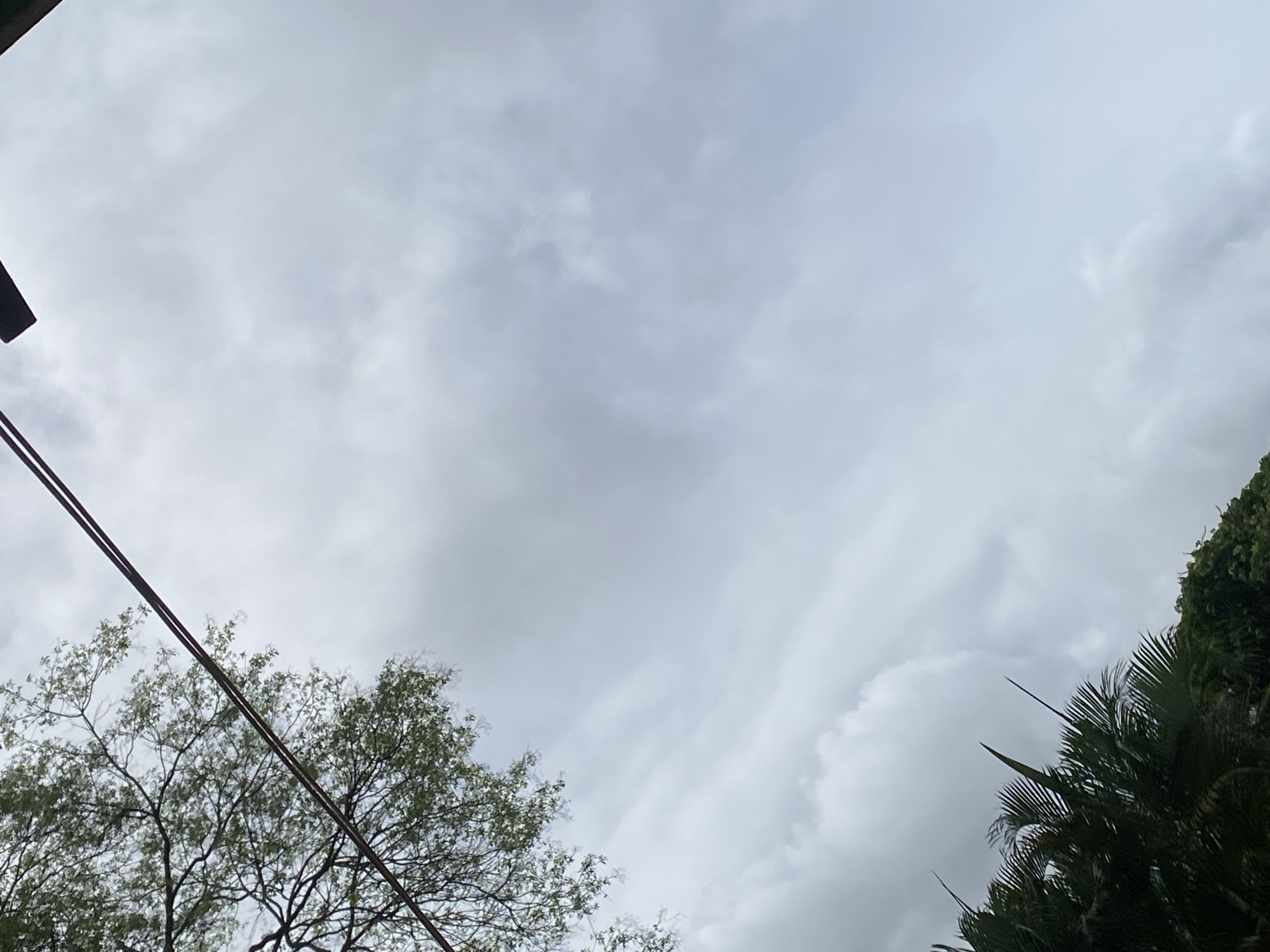 The image presents an upward view of an overcast sky in Tinaquillo, Venezuela, framed by natural and man-made elements. The sky is largely covered by grey clouds of varying density, suggesting a cloudy day, potentially preceding rain or during a rainy season.
In the lower left quadrant, the light green foliage and bare branches of a deciduous tree are visible. Two dark, parallel lines, likely utility wires, cut diagonally across the sky from the upper left, passing over the tree canopy, before exiting the frame towards the bottom center. On the right side of the image, dense, dark green fronds of a palm tree extend upwards from the bottom right corner, partially obscuring the cloudy background.
No specific activity or event is taking place, and no people are visible. The diffused lighting indicates daytime. There is no visible text in the image.