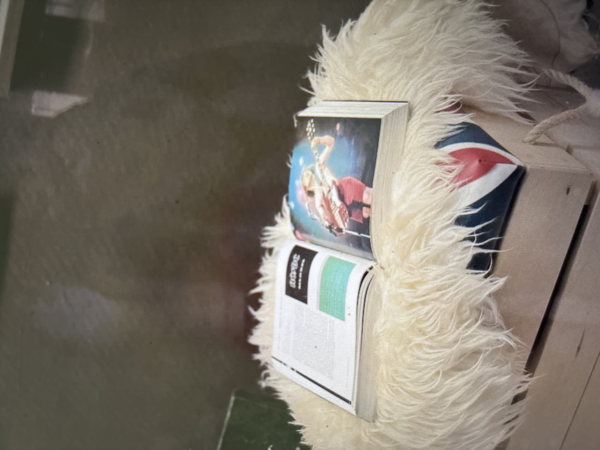 A book is open and lying on top of a white, shaggy ottoman. The book has a picture of Angus Young of AC/DC playing guitar on the right page. The left page of the book has text and a green chart. The ottoman is placed on top of a wooden crate that has a Union Jack design on it. The background is out of focus and appears to be a room. There are no people in the image.