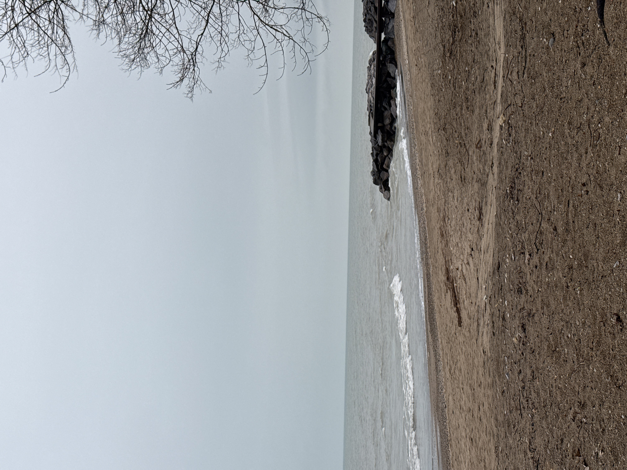 The image depicts a lakeside scene in Winnetka, Illinois. The sky is overcast and pale gray, visible on the left side of the image. Bare tree branches are visible in the upper-left corner. The shoreline features a mix of brown sand and a line of large, dark rocks. Gentle waves wash onto the sandy beach. The water is a similar shade of gray as the sky. The scene is still and quiet.