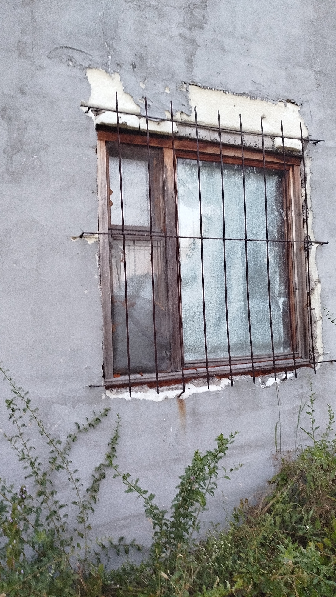 This is a close-up, eye-level, outdoor, daytime, medium shot of a weathered window with bars set into a textured, gray concrete wall. The wall shows signs of disrepair, with patches of peeling plaster and exposed insulation around the window frame. The window itself has a wooden frame and is divided into two panes, both covered by a frosted film or grime. A dark metal grate with vertical bars is affixed to the outside of the window. Green vegetation, including thin, leafy vines and taller grasses, grows in abundance in the foreground and partially obscures the bottom of the wall and window. The overall impression is one of neglect and decay. The scene is located in the city of Kostiantynivka, Ukraine.