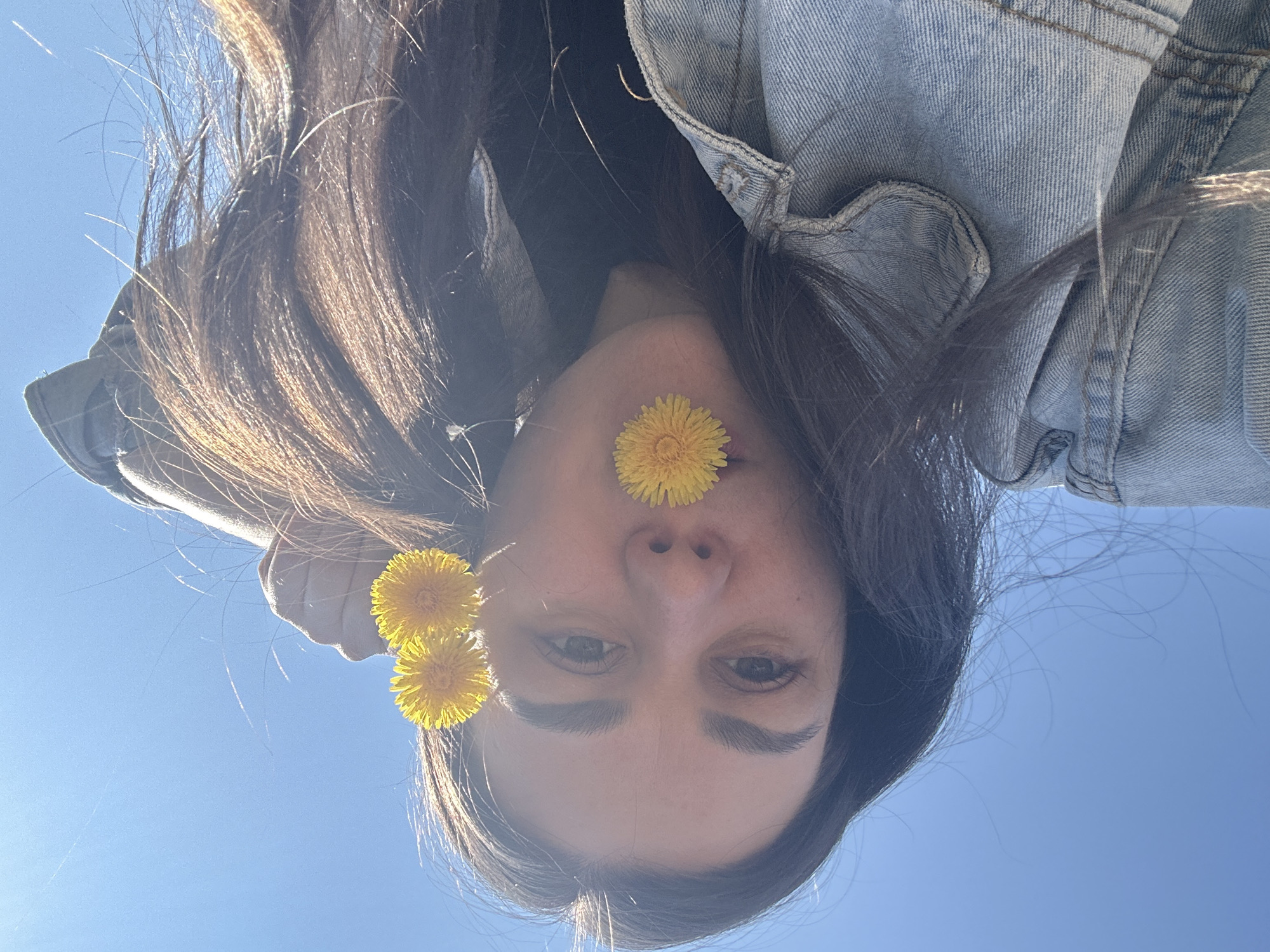 A woman lies on her back, viewed from below, with her face centered in the frame. Her dark hair spreads out around her head. She has fair skin, dark eyebrows and eyes. Three yellow dandelion-like flowers are positioned on her face: one between her nose and upper lip, and two stacked on her forehead. She wears a denim jacket. The clear blue sky is visible in the background. No specific location is discernible.