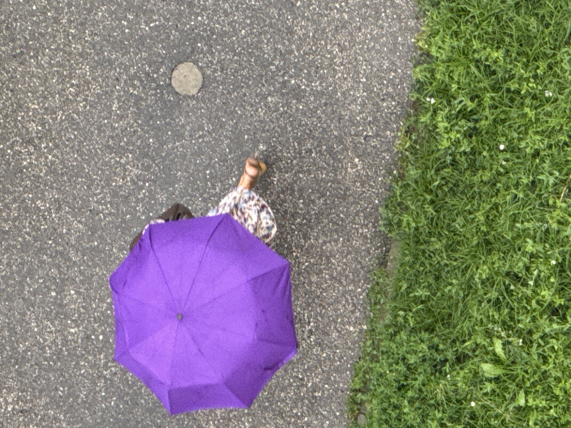 An aerial view captures a person from above, holding a bright purple umbrella open as they walk on a textured asphalt surface. The person is wearing a patterned dress. To the left of the asphalt, a strip of vibrant green grass runs along the bottom of the frame. A small, circular, light-colored object is visible on the asphalt surface to the right of the person. The scene is an outdoor urban environment, possibly a park or a sidewalk in Nizhny Novgorod, Russia.
