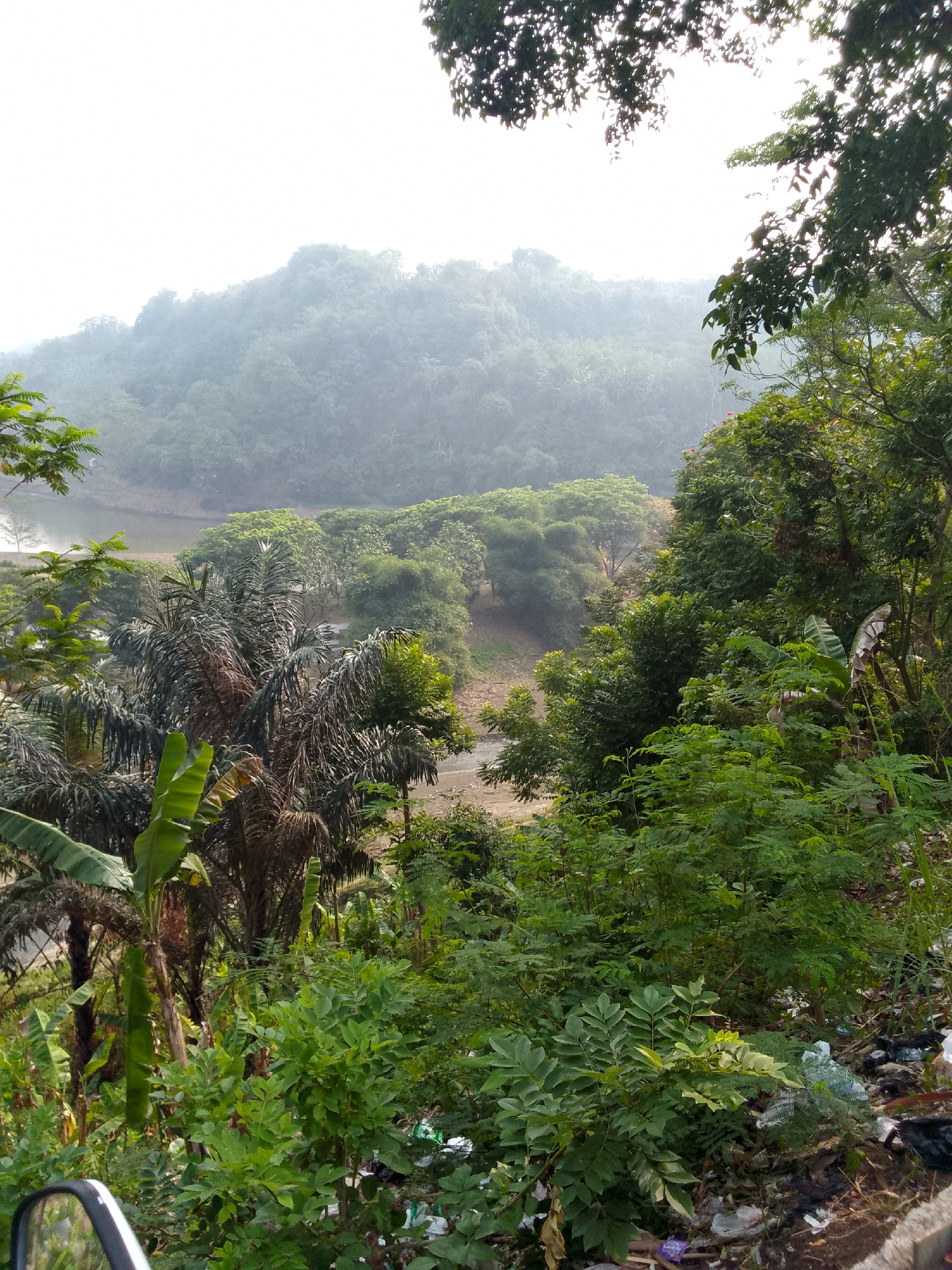 The image depicts a view from an elevated position overlooking a lush, green valley with a river or body of water in the distance. The foreground is filled with dense vegetation, including palm trees and various leafy plants. In the lower right corner, there is visible litter, including plastic bags and other debris, suggesting a natural area adjacent to human activity. The midground features more trees and a gently sloping landscape. The background shows a mist-covered mountain range, indicating a potentially humid or hazy atmosphere. The scene appears to be a natural landscape with signs of human impact, possibly in or near Haurwangi, Indonesia, given the presence of tropical vegetation. There are no people or animals visible in the frame. The lighting suggests it is daytime, possibly early morning or late afternoon due to the soft light and haze.
