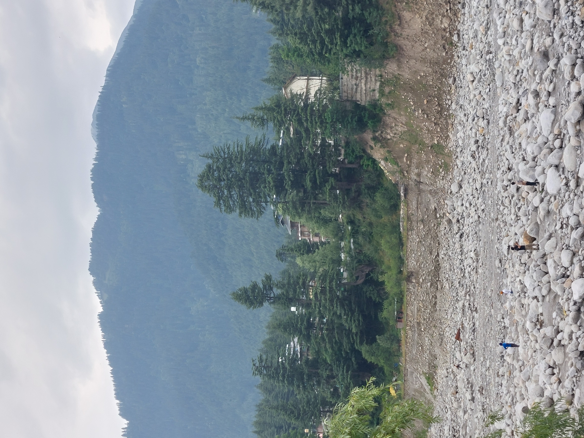 The image depicts a wide, rocky riverbed in Vashisht, India, with a dense forest and mountains in the background. The riverbed is filled with large, smooth, light-colored stones, with a shallow stream of water flowing between them. Several people are visible in the riverbed. In the middle ground, a person in a blue shirt stands among the rocks, facing away from the camera. To the right of this person, two other individuals are present, one wearing a white turban and the other in dark clothing. Further to the right, another person in dark clothing is standing and appears to be taking a photo. A person in a dark shirt and light-colored pants is also visible in the foreground. In the background, a steep embankment covered in rocks and vegetation overlooks the riverbed. Beyond the embankment, several buildings with pitched roofs are nestled among tall, conical evergreen trees. The trees form a dense forest that extends up the slopes of a large, mist-covered mountain range. The sky is overcast and gray.