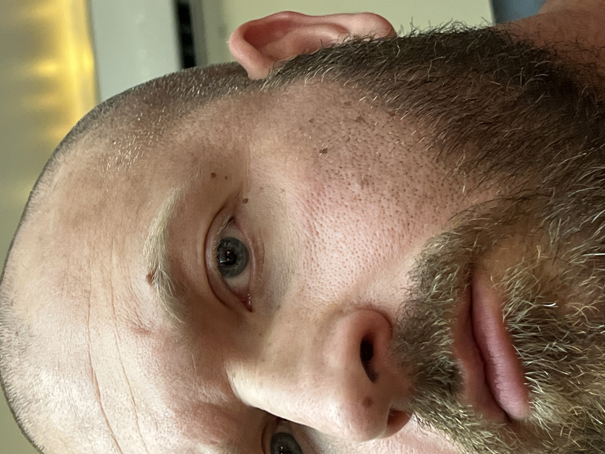 This is a close-up, head-and-shoulders, indoor photograph of a Caucasian male. The man is bald on top with short, bristly hair on the sides of his head. He has light-colored eyebrows and eyelashes, and his eyes are blue-grey. He has a light beard and mustache. The lighting is bright, casting a warm glow on his skin. In the background, a portion of an air conditioning unit is visible, along with a blurred, yellowish light source that could be a fixture or a reflection. The image is taken from a slightly low angle, looking up at the man's face. There is no information available to determine the location in Noviy, Russia.