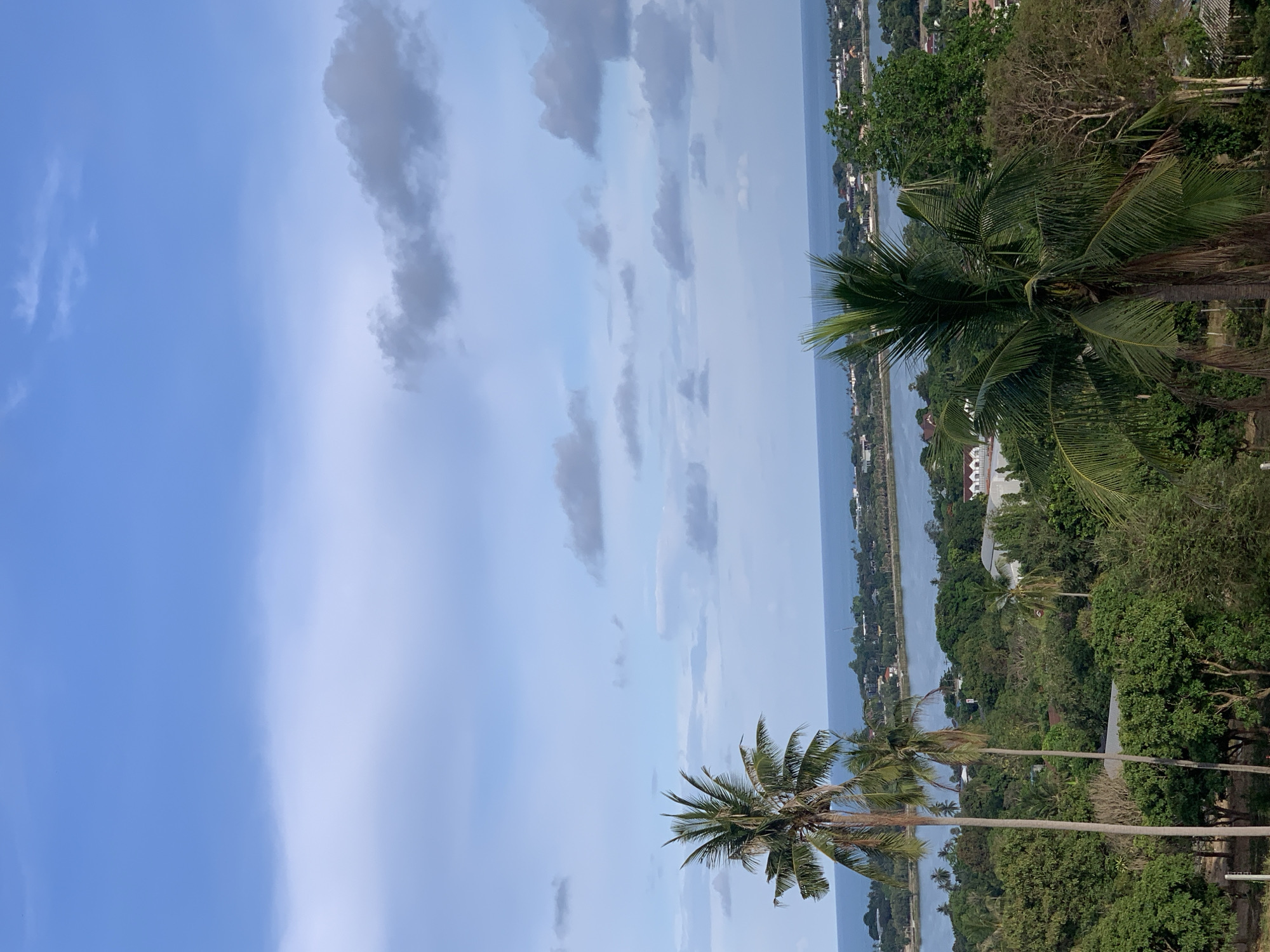 The image presents a landscape view in บ้านบางรักษ์, Thailand. The scene includes a sky with intermittent clouds, a body of water that appears to be a bay or estuary, and dense vegetation. Two palm trees are prominently featured in the foreground, partially obscuring the view of the water. In the distance, there are buildings and structures visible along the shoreline.