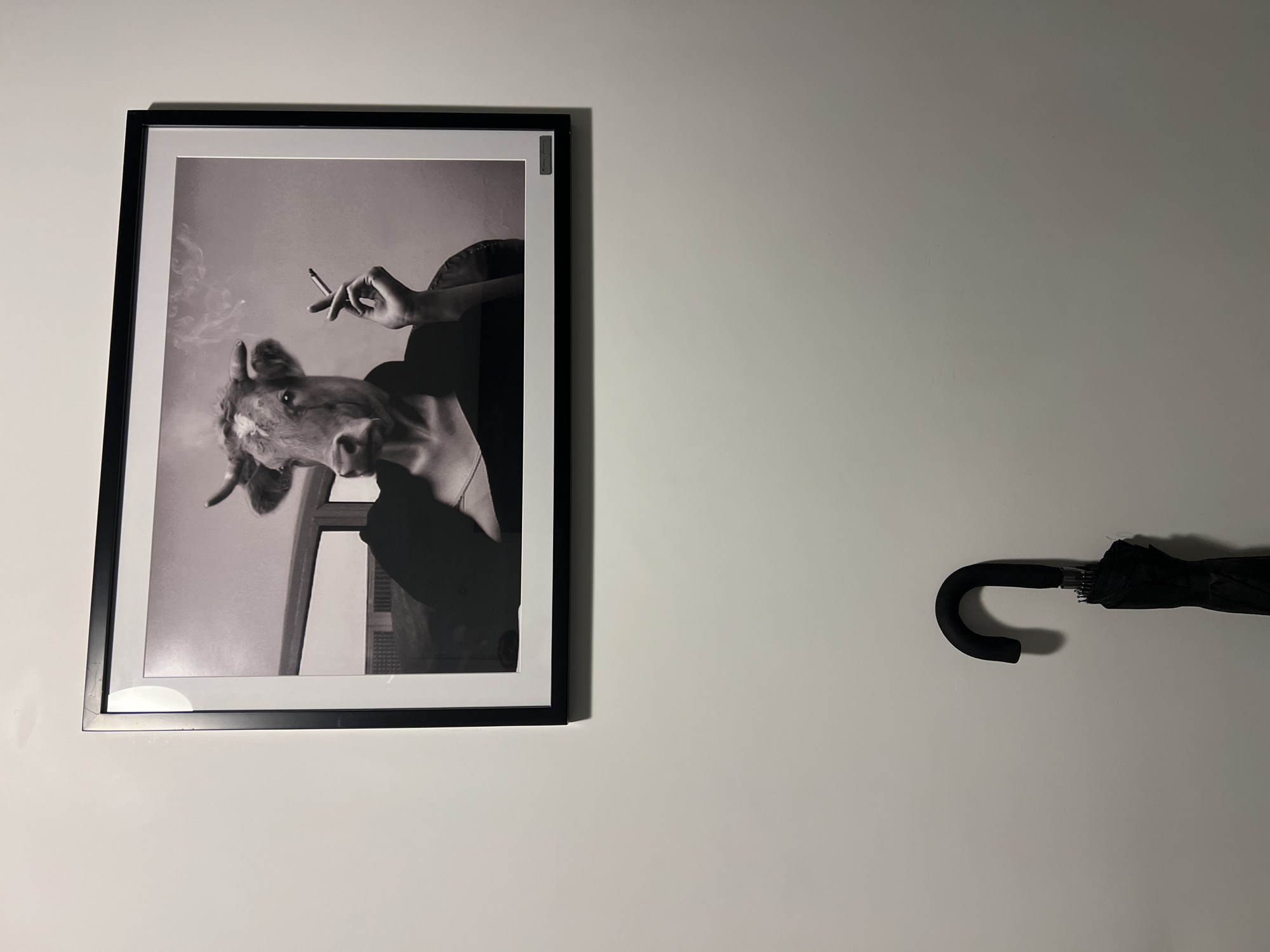 The image displays an indoor scene in Tel-Aviv, Israel. The specific location within the city, such as a street or building type, cannot be determined from the visual information provided.
A rectangular framed artwork is centered on an unadorned, light-colored wall. The frame is black, encompassing a white mat board, which in turn frames a black and white photograph. The photograph depicts a figure with the head of a cow, including horns, superimposed onto the bare shoulders and upper chest of a human female. The figure's right hand, human in appearance, holds a lit cigarette between the index and middle fingers, with visible smoke rising from it. The figure is seated, partially obscured by a dark garment or wrap. A faint background detail, possibly a window or structural element, is visible behind the figure's left shoulder.
Positioned below and to the right of the framed artwork, a black, folded umbrella with a distinctive curved handle leans vertically against the wall. The wall itself is smooth, painted in a neutral, light hue, and illuminated evenly.