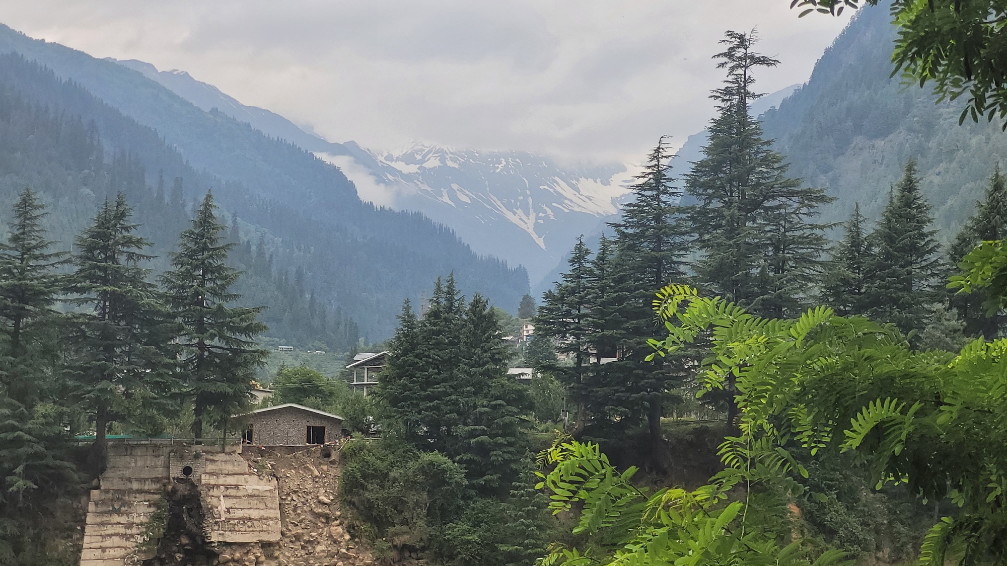This is a wide-angle shot of a mountainous landscape in Vashisht, India, likely during overcast weather. In the foreground, lush green foliage partially obscures the view of a stone building with a dark-colored roof, situated on a rocky embankment. This structure appears to be a house or a small inn. To the left of the building, a weathered concrete structure with visible rebar suggests a retaining wall or an old bridge abutment, with debris scattered around it.
Further into the mid-ground, several tall coniferous trees stand amidst a scattering of other buildings, including a multi-story structure with a white facade and a dark roof. The backdrop is dominated by steep, forested mountain slopes that recede into the distance. The highest peaks are snow-capped, peeking through a layer of clouds. The overall atmosphere is serene and somewhat muted due to the cloudy sky. No people are visible in the frame.