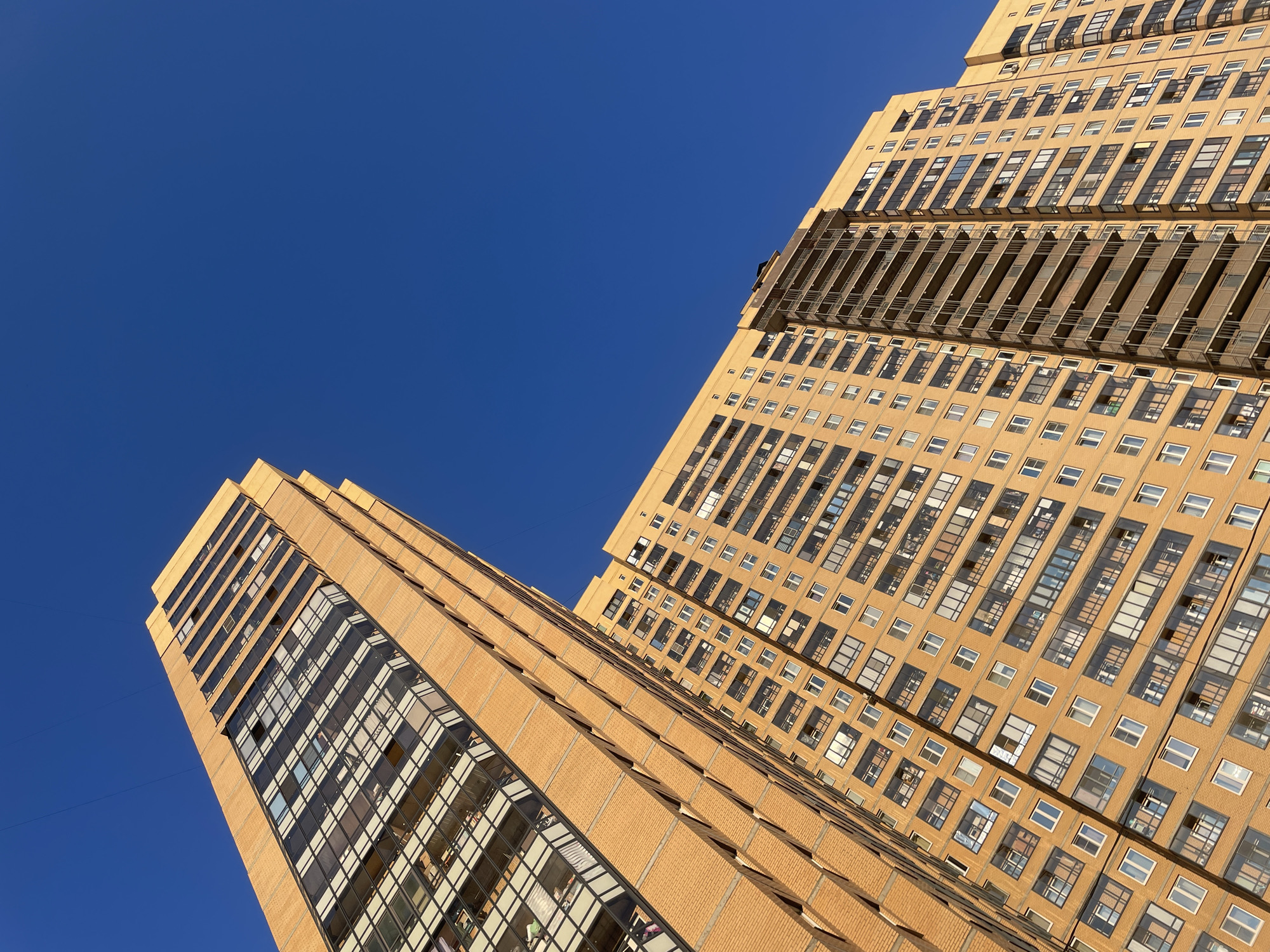 The photograph showcases two modern, tall residential buildings against a clear, deep blue sky. Both buildings are constructed with light orange brickwork and feature numerous windows and balconies. The building on the left appears taller and has a section with a more modern, glass-heavy facade, contrasting with the brick. The building on the right is slightly shorter and is primarily brick, with rows of windows and balconies. The perspective is from a low angle, looking upwards, emphasizing the height of the structures. The image is taken during daylight, with the sun casting shadows on the buildings, highlighting their architectural details. No people are visible in the image. The scene is set in the city of Pargolovo, Russia, likely a residential area with contemporary high-rise apartment complexes.