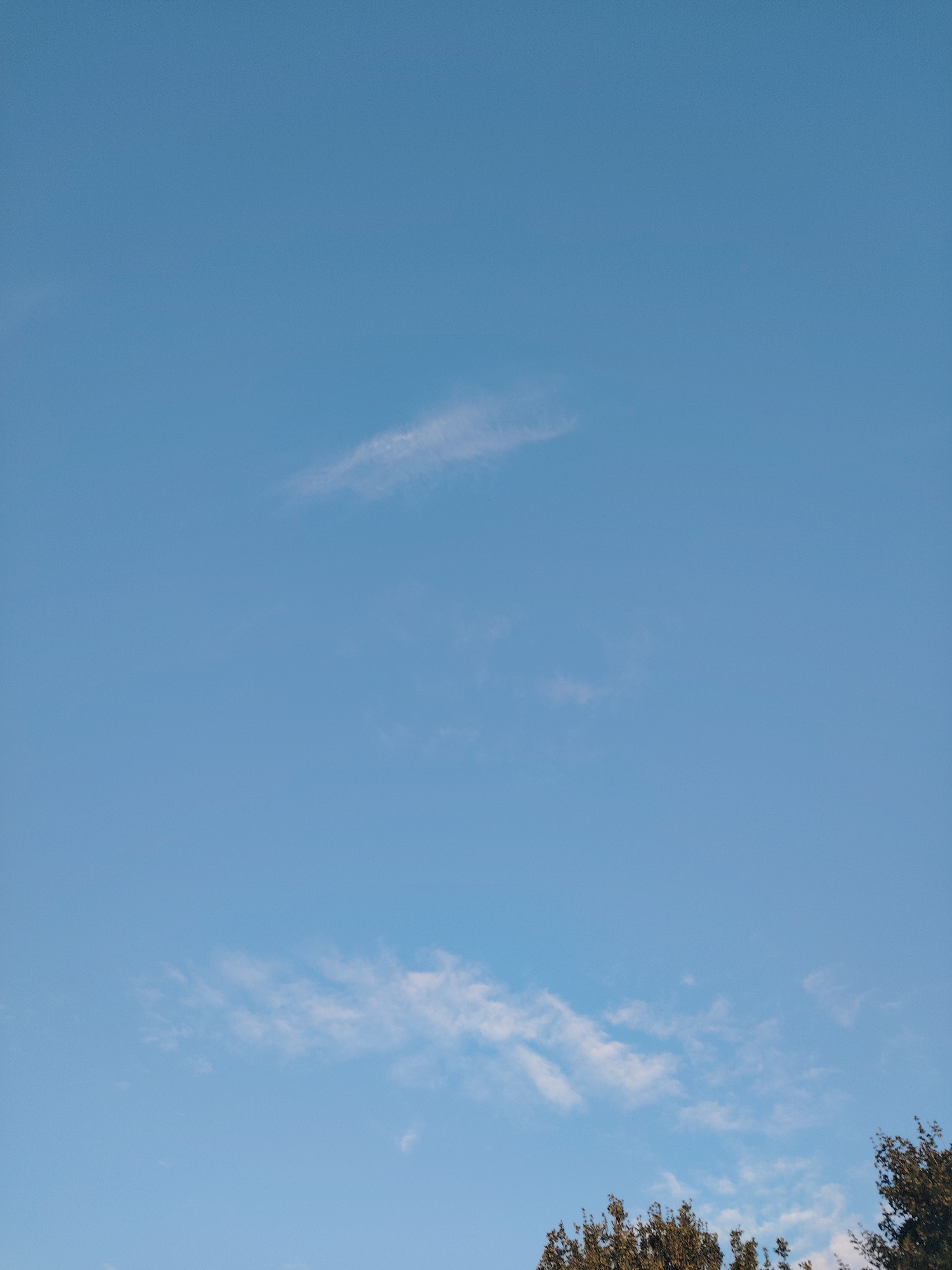 A wide shot captures a clear blue sky with scattered wispy white clouds. The top half of the image is dominated by the expanse of the sky, while the bottom section features the tops of dark green trees, suggesting an outdoor setting. The perspective is looking upwards. The image does not provide information about the city of Huntingdonshire or any specific details about people, actions, or interactions.