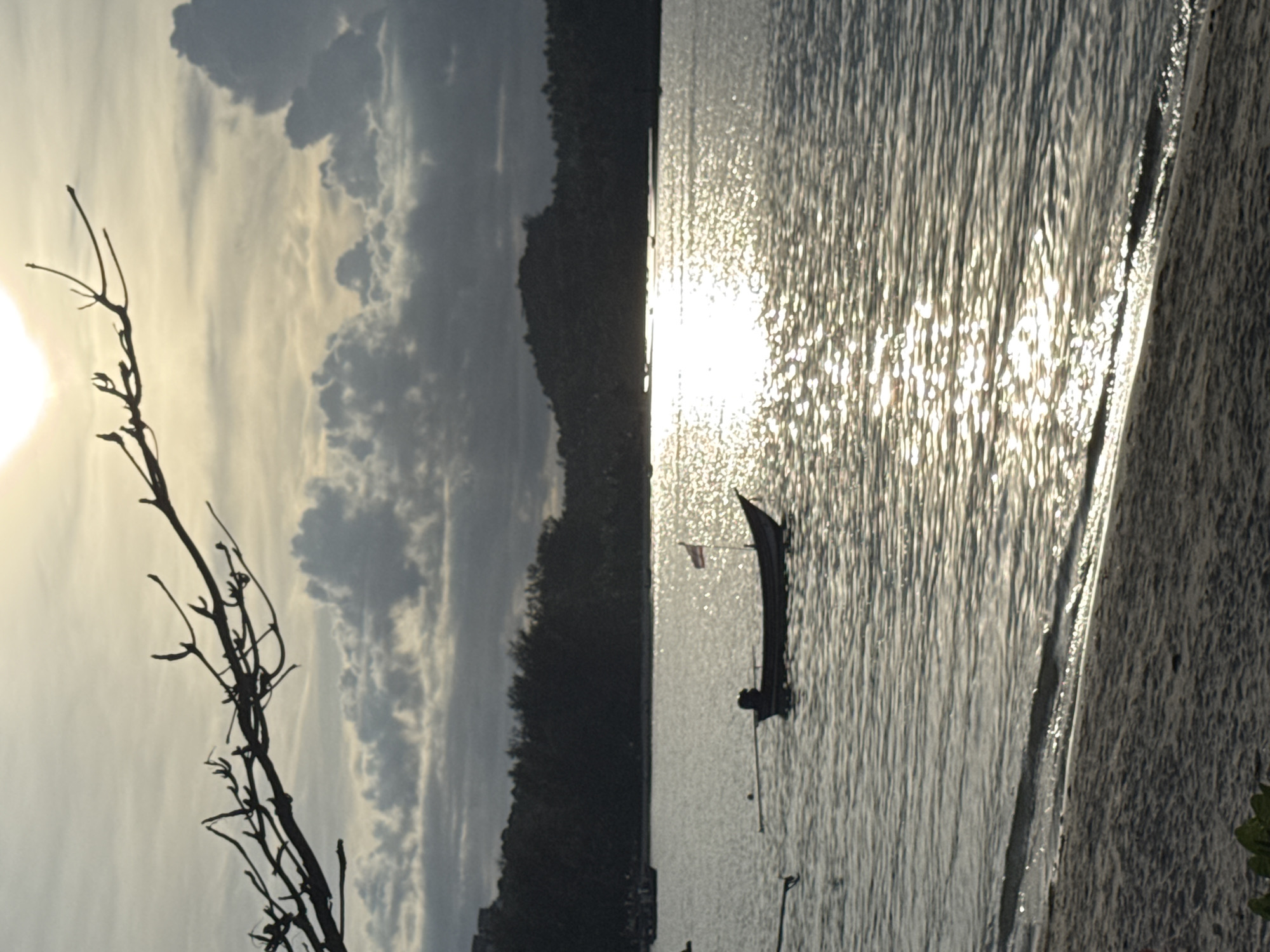 The image shows a tranquil waterscape at sunset in Koh Phangan, Thailand. A long-tail boat, a common type of Thai fishing boat, is anchored in the foreground, its silhouette distinct against the shimmering water. The boat has a Thai flag planted on its stern. The sea is calm, reflecting the warm hues of the setting sun, with ripples creating a textured surface. In the background, a lush, dark green treeline forms a natural barrier, suggesting a coastal area with dense vegetation. Above the treeline, hills or mountains are visible, silhouetted against a sky filled with dramatic, textured clouds. A bare tree branch with intricate, twig-like structures juts in from the top left of the frame, adding a graphic element to the scene. The overall atmosphere is serene and picturesque, typical of a tropical sunset.