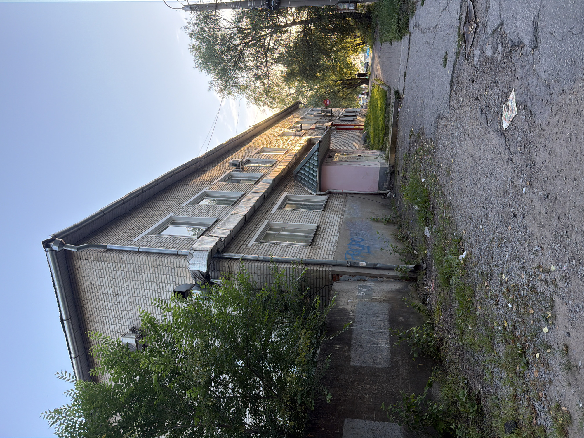 An exterior, eye-level, medium shot captures a view of a residential building on a street in Khabarovsk, Russia. The building is constructed of light-colored bricks and features multiple windows. A large tree with green foliage is situated to the left of the building, obscuring part of its lower section and a concrete wall. The building has a metal roof and a downspout system. The ground in front of the building is a mix of gravel and dirt with patches of grass. A paved sidewalk runs alongside the building, leading away into the distance. The sidewalk is cracked and appears to be in disrepair in places. Trees line the right side of the sidewalk, casting shadows on the path. The sky is clear and blue, with the sun casting warm light on the scene. A few items of litter are scattered on the ground. No people are visible in the image.
