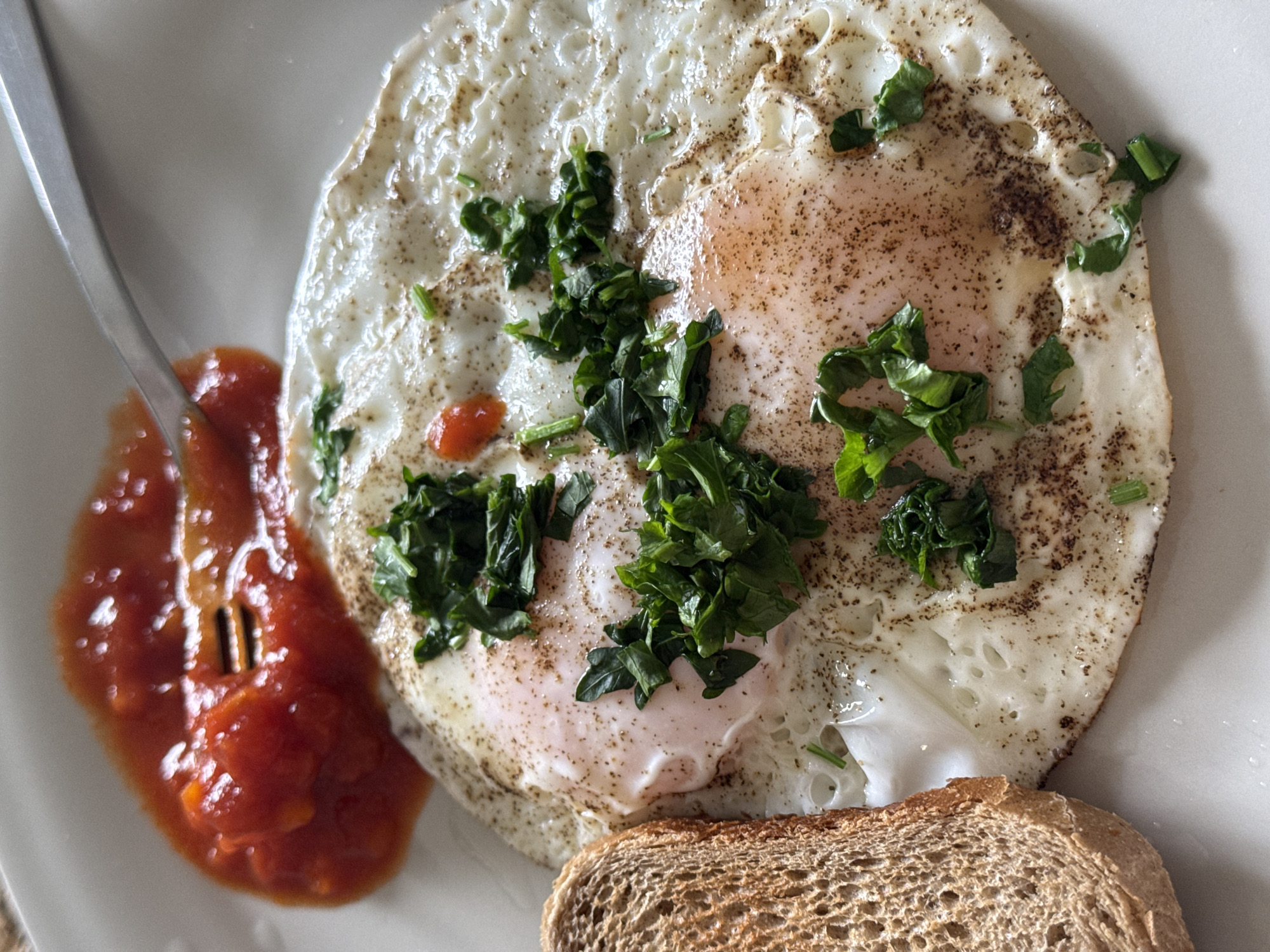A plate of food is presented in this close-up shot. The plate contains two fried eggs, cooked sunny-side up and sprinkled with chopped greens and a peppery seasoning. Next to the eggs, a spoonful of tomato sauce is situated on the left side of the plate. The sauce appears to have a chunky texture. At the bottom of the image, a slice of toasted brown bread is visible. A fork is partially visible, appearing to be in the tomato sauce. The image's location is unknown, and there is no evidence of Vozdovac Urban Municipality, Serbia. No people, interactions, or activities are depicted.