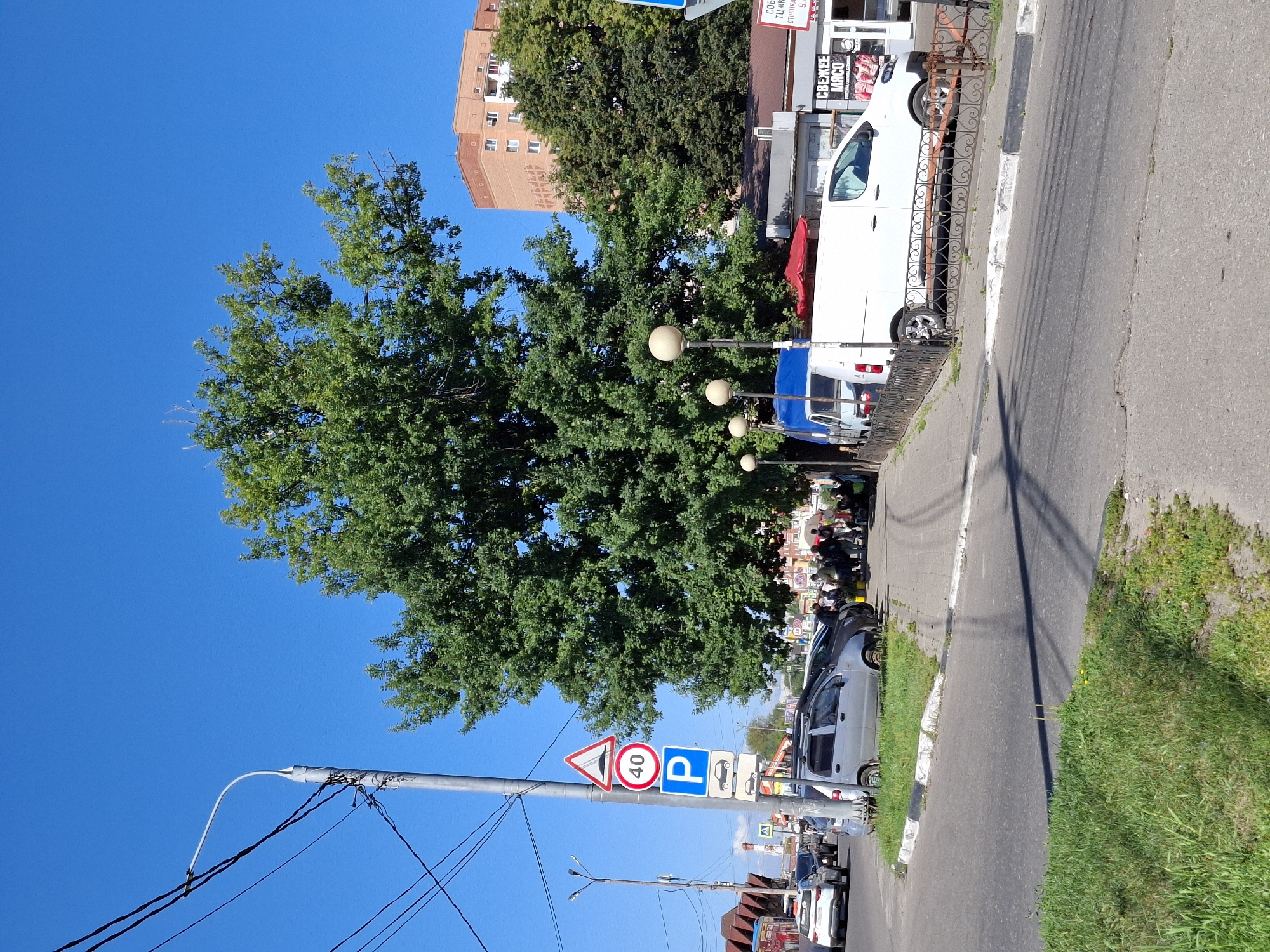 The image depicts a street scene in a city under a clear blue sky. In the foreground, a paved road with a grassy verge is visible, curving to the left. Several cars are parked along the side of the road and on a sidewalk. A prominent silver van with its doors open is parked behind a decorative metal fence. Next to it, a blue van is partially visible.
Further back, a large, leafy green tree dominates the midground, casting a shadow on the sidewalk. Adjacent to the tree, several buildings with awnings and signs are situated. One sign displays "СВЕЖЕЕ МЯСО" (Fresh Meat). A group of people are gathered on the sidewalk in front of these buildings.
A tall lamppost with multiple wires runs along the left side of the image. Attached to the lamppost are several traffic signs, including a speed limit sign indicating "40" and a blue parking sign with car icons. In the background, a multi-story brick building with numerous windows can be seen. The overall impression is that of a sunny day in a moderately busy urban environment, possibly a market area or a street with local businesses.