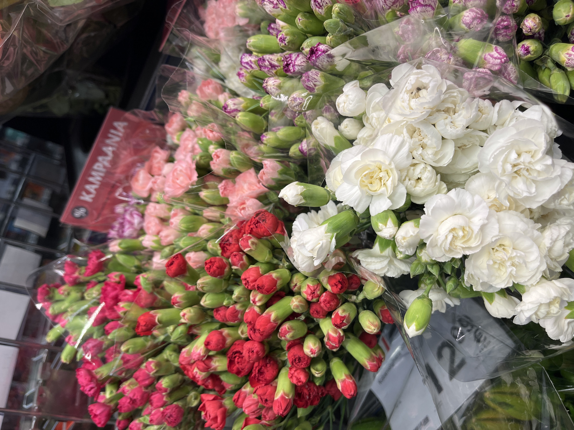 The image shows a close-up, slightly blurred view of several bouquets of carnations in a retail setting, likely a flower shop or grocery store. The carnations are arranged in bunches and enclosed in clear plastic packaging. Different colors are visible, including red, pink, white, and bi-colored pink and white varieties. Some of the flowers are fully bloomed, while others appear to be buds. In the background, shelves and other floral displays are partially visible. A red sign with white text, reading "KAMPaanIA" and a percentage symbol, is positioned above some of the pink flowers. A price tag or sign with the number "2" is visible on the left side of the image. The overall lighting suggests an indoor environment. There are no people or animals visible in the image.