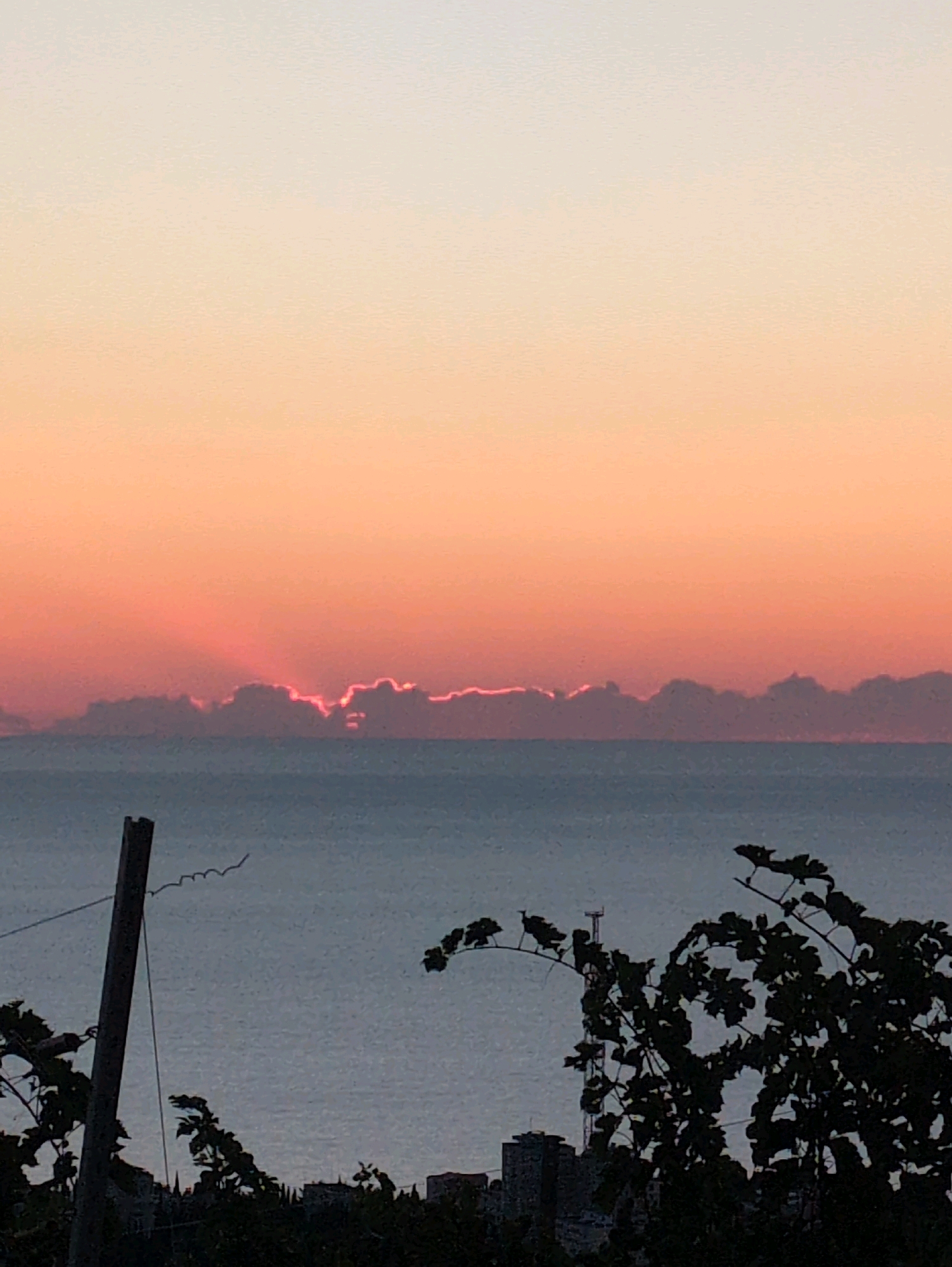 A silhouette of vine leaves and a wooden post frames a dusky scene of the ocean under a gradient sky of pale yellow, orange, and pink. The sun is partially obscured by a line of clouds low on the horizon, casting rays of light that illuminate the cloud edges with a pinkish glow. Beyond the clouds, the ocean appears calm and blue. In the foreground, dark silhouettes of foliage and a single vertical wooden post are visible, suggesting a rural or semi-rural setting near the coast. In the distance, buildings can be seen as dark shapes along the coastline.