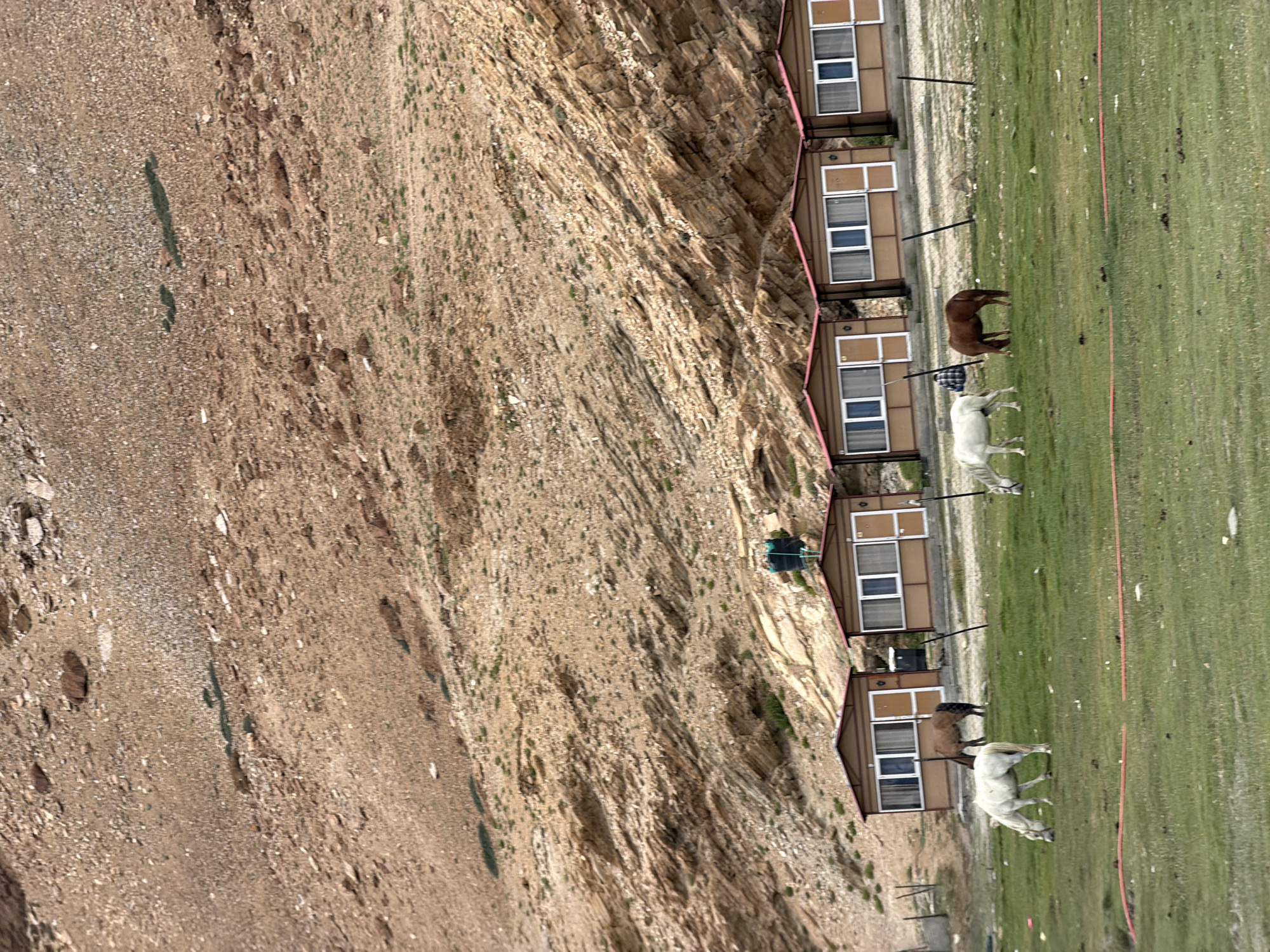 The image depicts a row of small wooden cabins situated at the base of a steep, rocky mountain slope in Karzok, India. The cabins have red roofs and white-trimmed windows and doors. In the foreground, a grassy field is populated by four horses: two white horses are grazing, and one brown horse is standing, while another brown horse is partially visible in the background. The mountain slope is barren and appears to be composed of reddish-brown rock and scree, with sparse patches of vegetation. The sky is overcast. A water tank is visible on the slope behind some of the cabins.