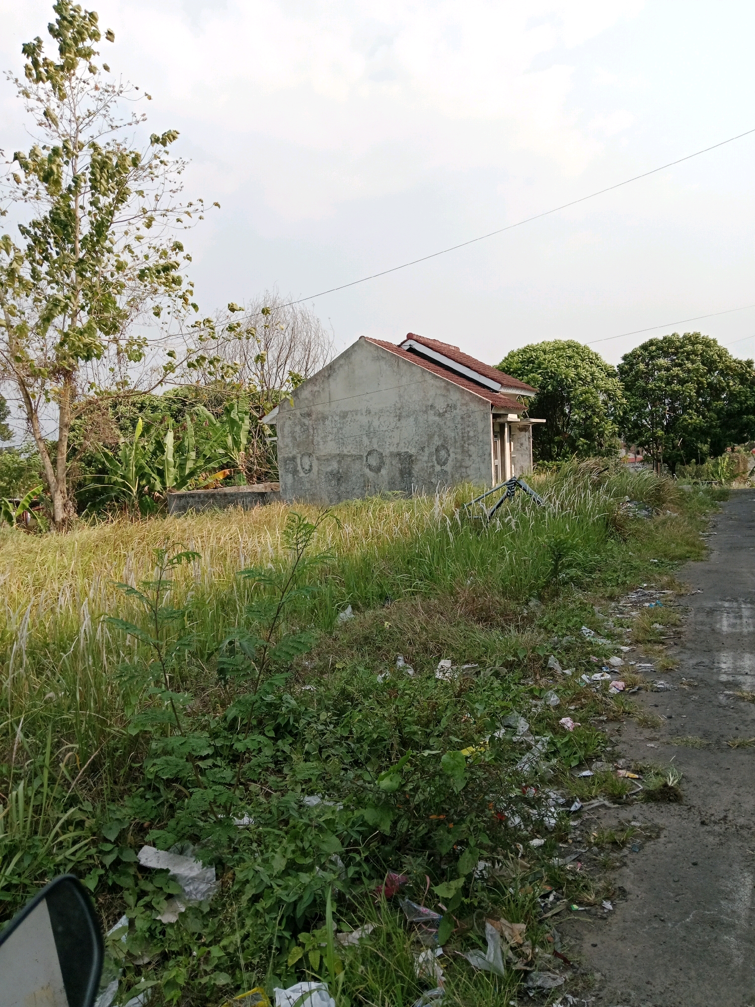 This is an eye-level, medium outdoor shot taken in Cilaku, Indonesia. The scene depicts a sparsely populated rural area with a small, unpainted concrete house and overgrown vegetation. In the foreground, tall, dry grasses and various green plants dominate the left side of the frame. Scattered among the plants are pieces of litter, including plastic bags and wrappers, extending towards the right edge. A portion of a dark, reflective object, possibly a car mirror, is visible in the lower left corner. A paved road runs along the right side of the image, also lined with grass and litter.
In the midground, a modest, unpainted concrete house with a terracotta-tiled roof stands amidst the vegetation. The house appears to be unfinished or neglected, with visible concrete walls and a simple doorway. Behind the house, banana trees and other lush green foliage create a dense backdrop. To the left of the house, a tall, leafy tree with light-colored bark is prominent, with thinner, bare branches visible to its right.
In the background, more trees and vegetation can be seen. The sky is overcast with a pale, diffused light. Overhead, a single power line stretches across the frame, supported by unseen poles. The overall impression is one of a developing or underdeveloped rural landscape, marked by both natural growth and signs of human habitation and neglect.