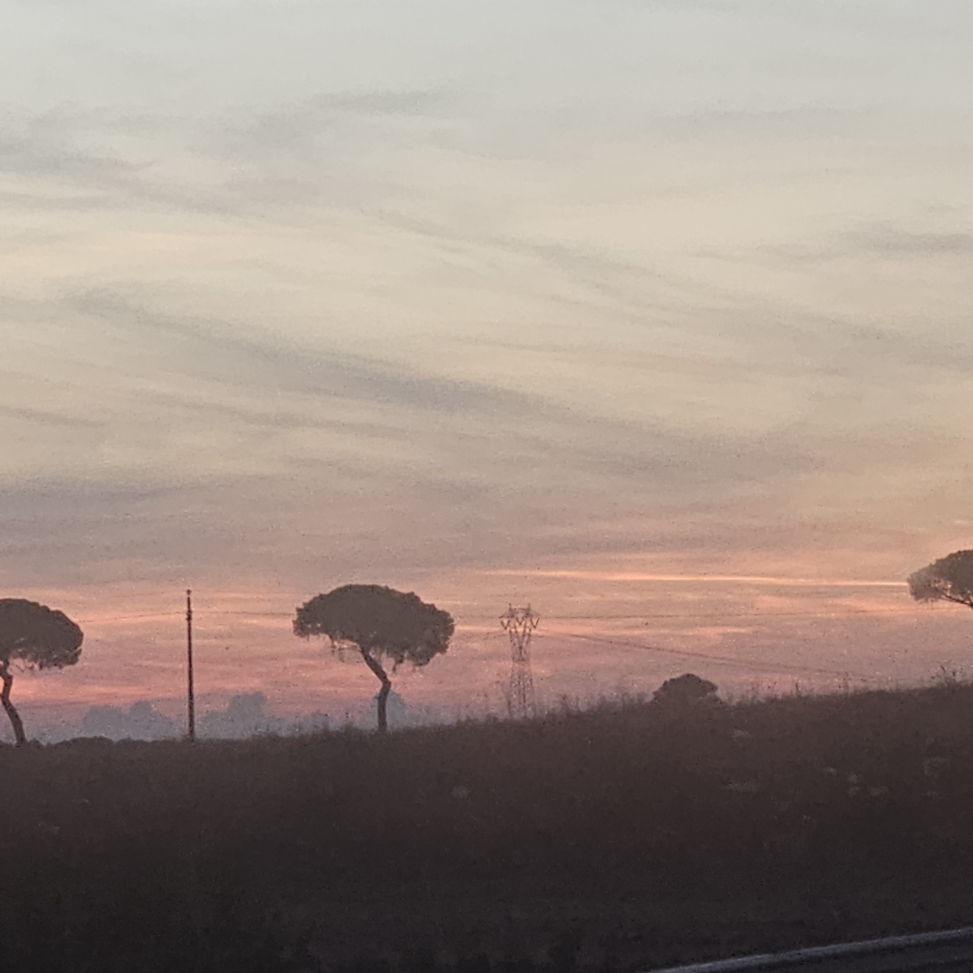 The image depicts a twilight landscape with a soft, muted sky transitioning from pale yellow and pink to a light grey. Wispy clouds are visible, forming horizontal streaks across the sky. In the foreground, a dark, silhouetted landscape is visible, suggesting a hilly terrain covered in vegetation. Several stylized trees with dark, umbrella-like canopies are scattered across this landscape. A prominent electricity pylon stands in the middle distance, its lattice structure silhouetted against the sky. The overall atmosphere is serene and tranquil, characteristic of a sunset or sunrise in a rural or semi-rural setting. The location is specified as Cerignola, Italy.