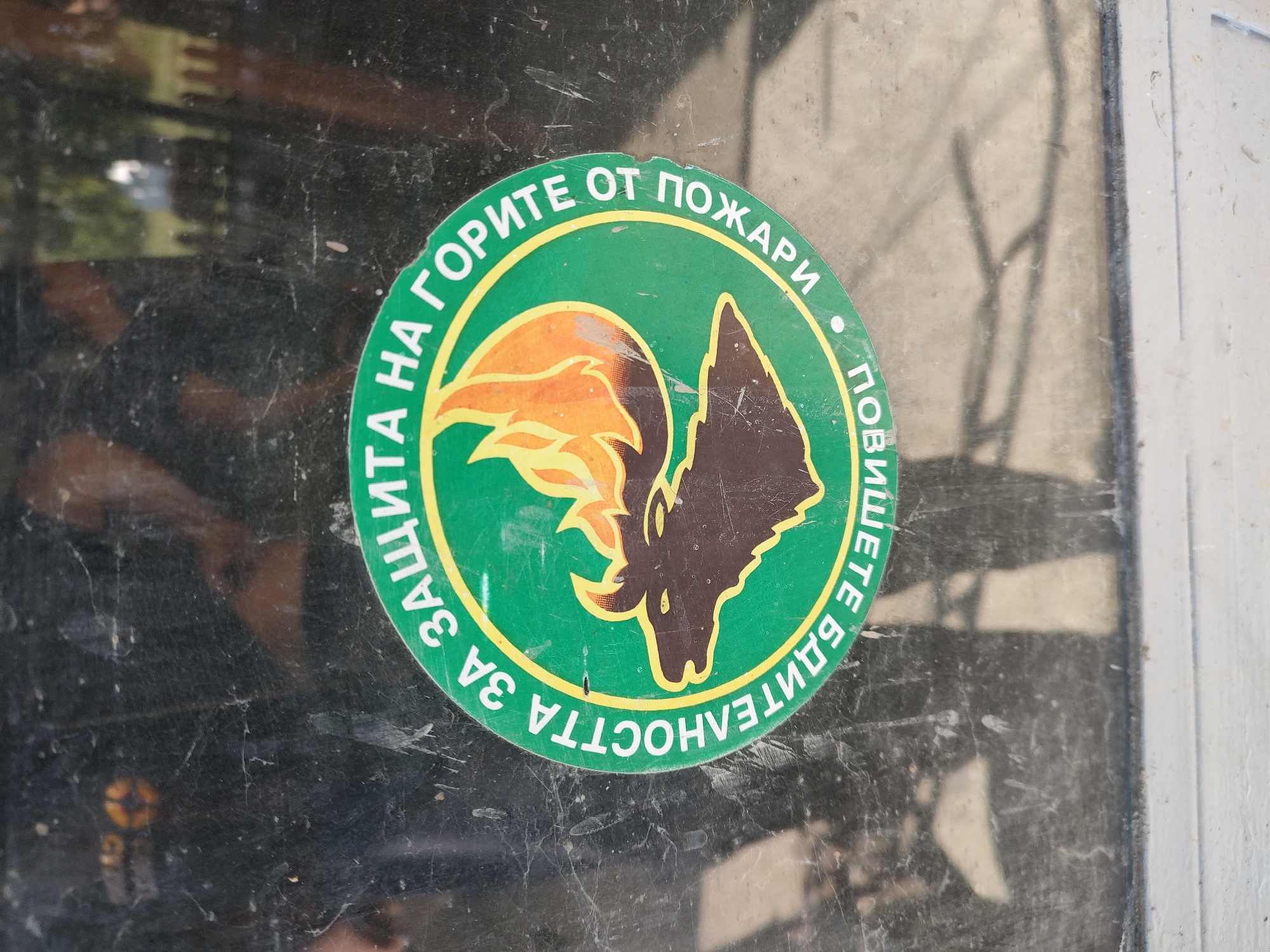The image shows a green and yellow circular sticker on a dirty, reflective surface, likely a window or glass panel. The sticker features a dark silhouette of a deer or elk head with antlers, with flames rising behind it. Text in white Cyrillic letters encircles the image. The text reads "ЗАЩИТА НА ГОРИТЕ ОТ ПОЖАРИ" (Protection of Forests from Fires) and "ПОВИШЕТЕ БАНЯТЕЛНОСТТА" (Increase Vigilance). The sticker appears to be located on a surface within the village of Kochmar, Bulgaria, as indicated by the user's prompt. The background reflection suggests an outdoor environment with trees and possibly buildings. The surface is scratched and smudged, obscuring some details of the reflection.