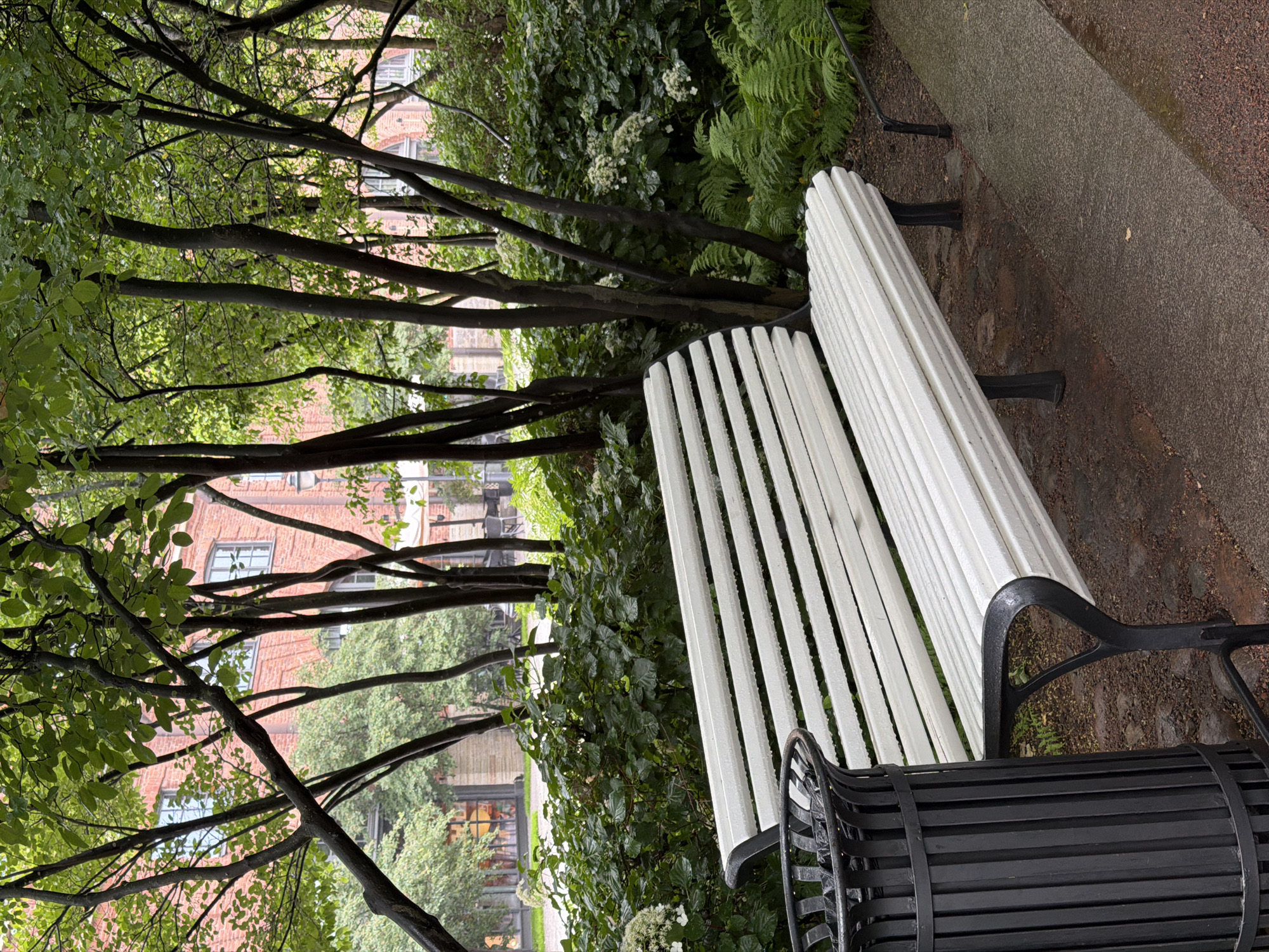 An exterior, eye-level, full shot shows a white slatted bench with black metal legs and armrests, positioned in front of lush green bushes and trees. To the left of the bench is a black cylindrical trash receptacle with vertical slats. The ground in front of the bench is a cobblestone path, transitioning to a darker, possibly wet, pavement. In the background, a multi-story red brick building with arched windows can be seen peeking through the foliage. The overall atmosphere suggests a park or public garden setting, possibly after rain, given the wet appearance of the foliage and ground. The scene is devoid of any people, indicating a quiet moment in an urban green space. The architectural style of the building hints at a location within Saint Petersburg, Russia, known for its historical buildings and numerous parks.