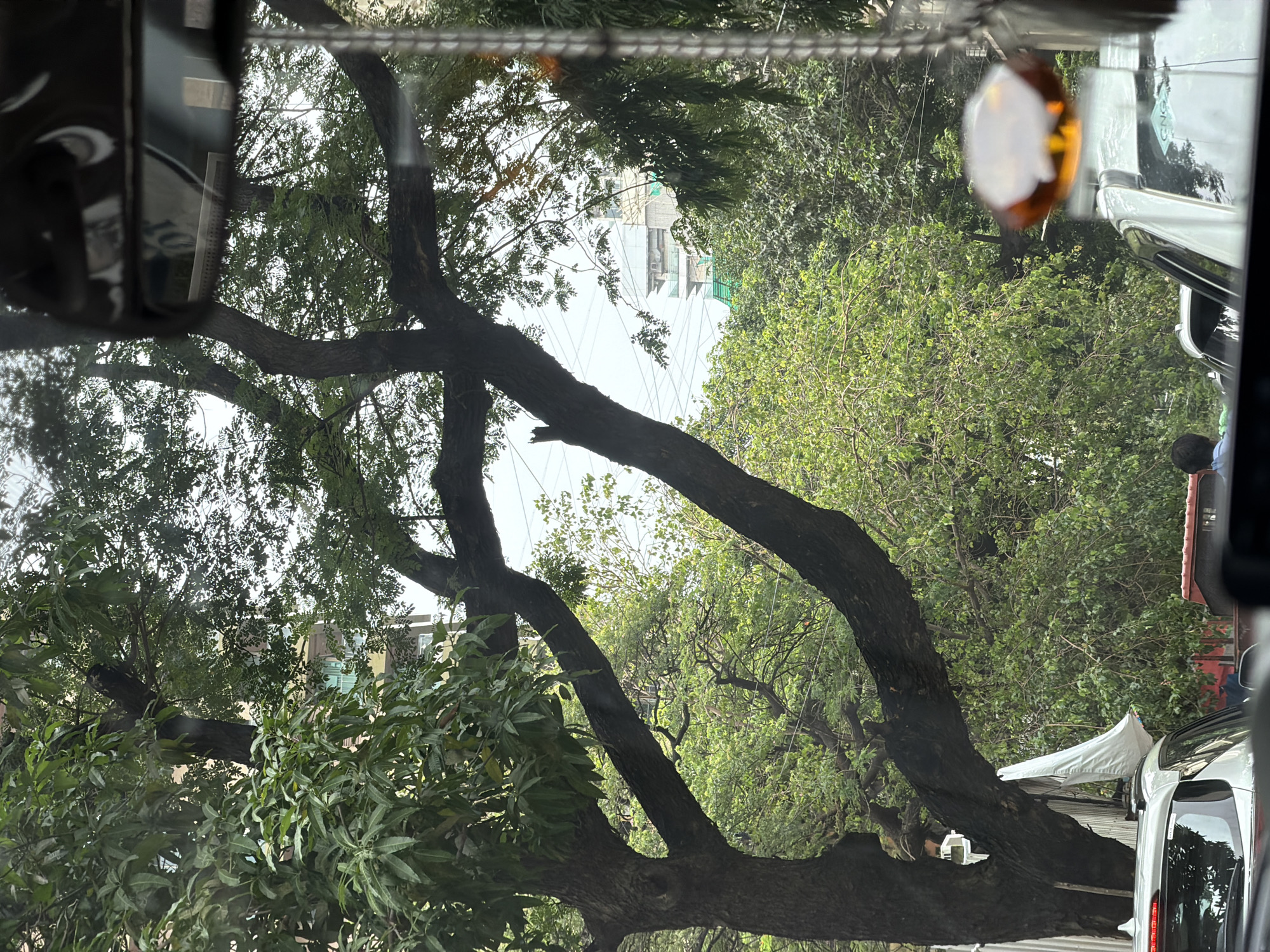 The image depicts a view through a vehicle's windshield, likely in a city environment, given the presence of buildings and trees. In the foreground, the rear of a white SUV is visible, indicating that the viewer is in traffic. A large, dark-barked tree with dense green foliage dominates the left and center of the frame, its branches extending across the scene. Through the leaves and branches, a multi-story building under construction or renovation is visible in the background. Power lines crisscross the sky. The overall impression is that of a typical urban landscape, with a blend of nature and man-made structures, set against a bright, possibly overcast, sky. The specific location in Mumbai, India, is not directly discernible from the visual elements alone, but the context of a city with such features is consistent with many parts of Mumbai.