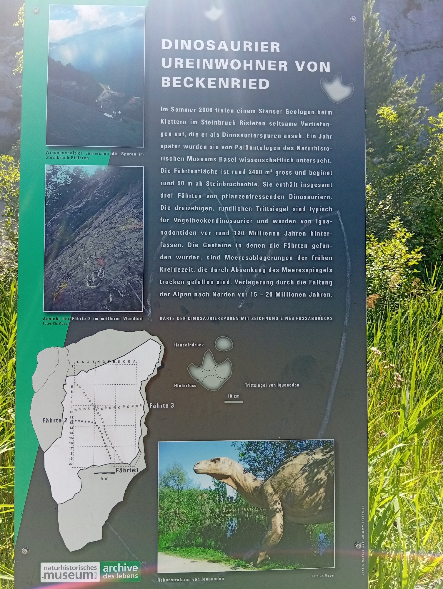 The image is of a signpost in Emmetten, Switzerland, providing information about dinosaur footprints discovered in the region. The sign features several photographs and diagrams related to the findings. One photograph shows a wide view of a mountainous landscape with a body of water, likely a lake, and an excavation site where scientists are working. Another photograph displays a close-up of a rocky cliff face with visible dinosaur footprints. Below this, a diagram illustrates the layout of the footprints, labeled as "Fährte 1", "Fährte 2", and "Fährte 3," along with a grid system and scale. There is also a separate illustration of an Iguanodon footprint with a scale bar. Text on the sign explains that the footprints were discovered in the Sommer 2000 and scientifically investigated, dating back to around 120 million years ago. A reconstruction of an Iguanodon is also depicted in another photograph. The sign is situated in an outdoor environment with grass and trees surrounding it.