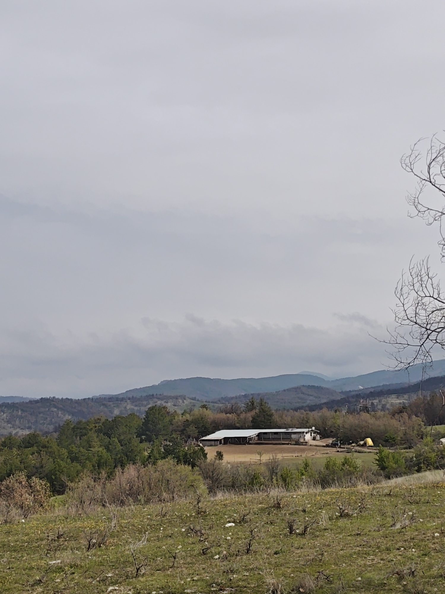 The image depicts a rural landscape on an overcast day, likely in the city of Unknown, Unknown. In the midground, a long, low white building with a simple roof structure stands adjacent to a cleared, dirt-covered area. Trees and vegetation partially obscure the building. The surrounding area appears to be a field or pasture, with a mix of grass, low-lying plants, and some bare patches of soil. A few indistinct objects, possibly vehicles or equipment, are visible near the building. In the background, a series of hills or mountains fade into the distance. The sky is heavily overcast, suggesting cloudy weather conditions. A bare tree branch is in the right foreground.