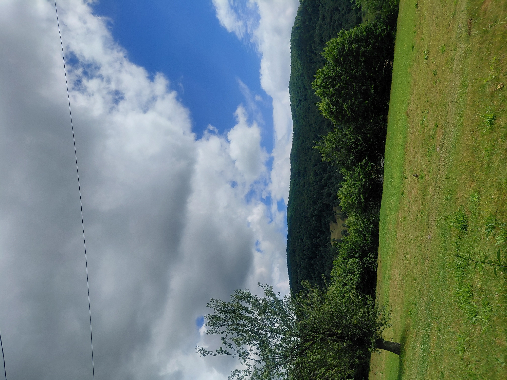 The image depicts a rolling green meadow in the foreground, with a solitary tree on the left side. Behind the meadow, a dense forest blankets a hillside, which forms the backdrop. Above the trees, a dramatic sky with a mix of dark, heavy clouds and bright blue patches with fluffy white clouds dominates the upper half of the frame. A thin, dark electrical wire is visible stretching across the top portion of the sky. The scene appears to be a rural landscape, potentially in or near Chernyk, Ukraine, given the context provided. There are no people or animals visible in the image.