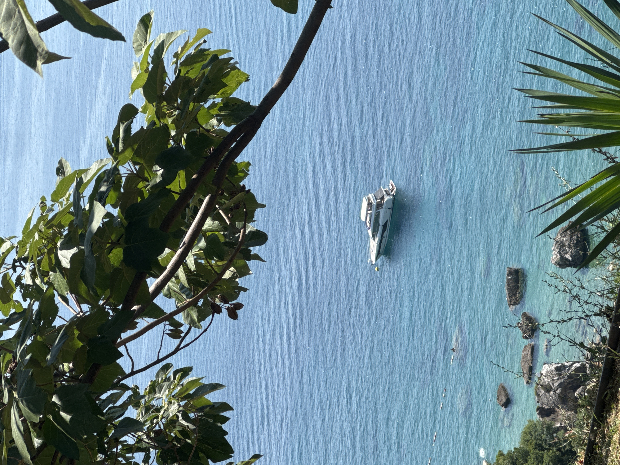 A high-angle shot captures a serene scene of a motor yacht floating on a calm, blue sea, partially framed by lush green foliage. The yacht, a white vessel with multiple decks and windows, is positioned in the center of the frame, its form clearly defined against the rippling water. Sunlight glints off the surface of the sea, creating a shimmering effect. In the foreground, the dark branches and vibrant green leaves of a tree create a natural frame, their shadows dappled across the scene. The lower portion of the image reveals a rocky shoreline with clear, turquoise water lapping at the rocks. The overall impression is one of tranquility and natural beauty.