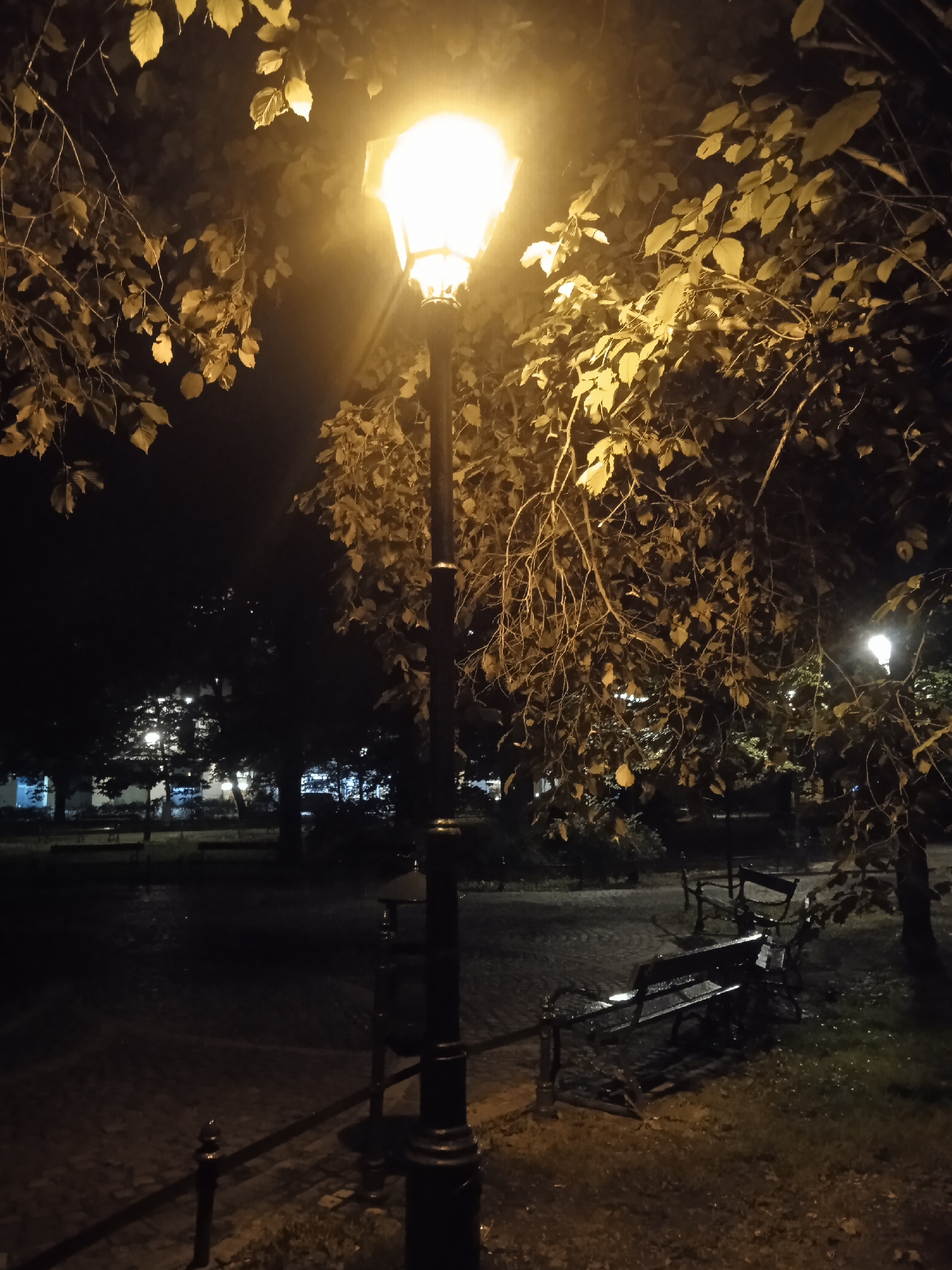 A streetlamp illuminates a park bench at night. The scene is dark, with the exception of the warm glow from the streetlamp, which casts shadows on the surrounding trees and ground. The bench is wet, suggesting recent rain. In the background, other park features, such as trees and more benches, are visible, dimly lit by distant lights. The ground appears to be paved with cobblestones.