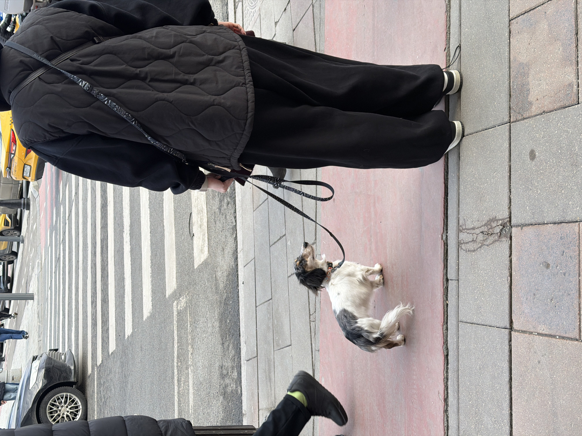 A medium shot depicts two pedestrians on a city sidewalk. The pedestrian closest to the camera is wearing a black quilted vest, black pants, and sneakers with white soles. They are holding a black leash connected to a small dog with black and white fur. The dog is standing on a section of the sidewalk colored in red. The second pedestrian, with just a foot visible, is wearing black shoes and black pants with a green sock or liner. The sidewalk is composed of grey tiles. In the background, a crosswalk is visible, along with cars and a yellow taxi cab. Based on the vehicles and crosswalk design, the location is identified as the city of Moscow, Russia.