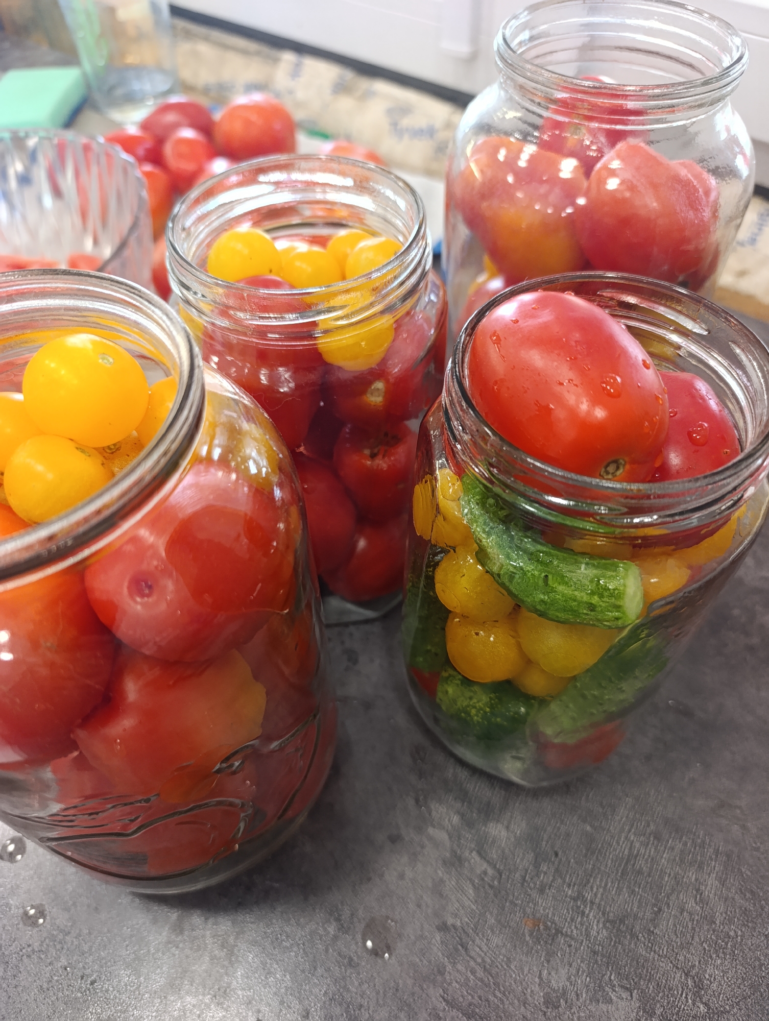 This is a close-up, eye-level shot of several glass jars filled with tomatoes and one jar containing tomatoes and cucumber. The jars are on a grey countertop. In the background, out of focus, are more tomatoes and what appears to be a window sill. The jars are packed with a mixture of red and yellow cherry tomatoes, and in one jar, small green cucumbers are interspersed with the tomatoes. The tomatoes and cucumbers appear to be whole and fresh, with some water droplets visible on their surfaces, suggesting they are being prepared for preservation or pickling. The overall impression is of a home kitchen environment where food preparation is underway. There are no people or animals visible in the image.