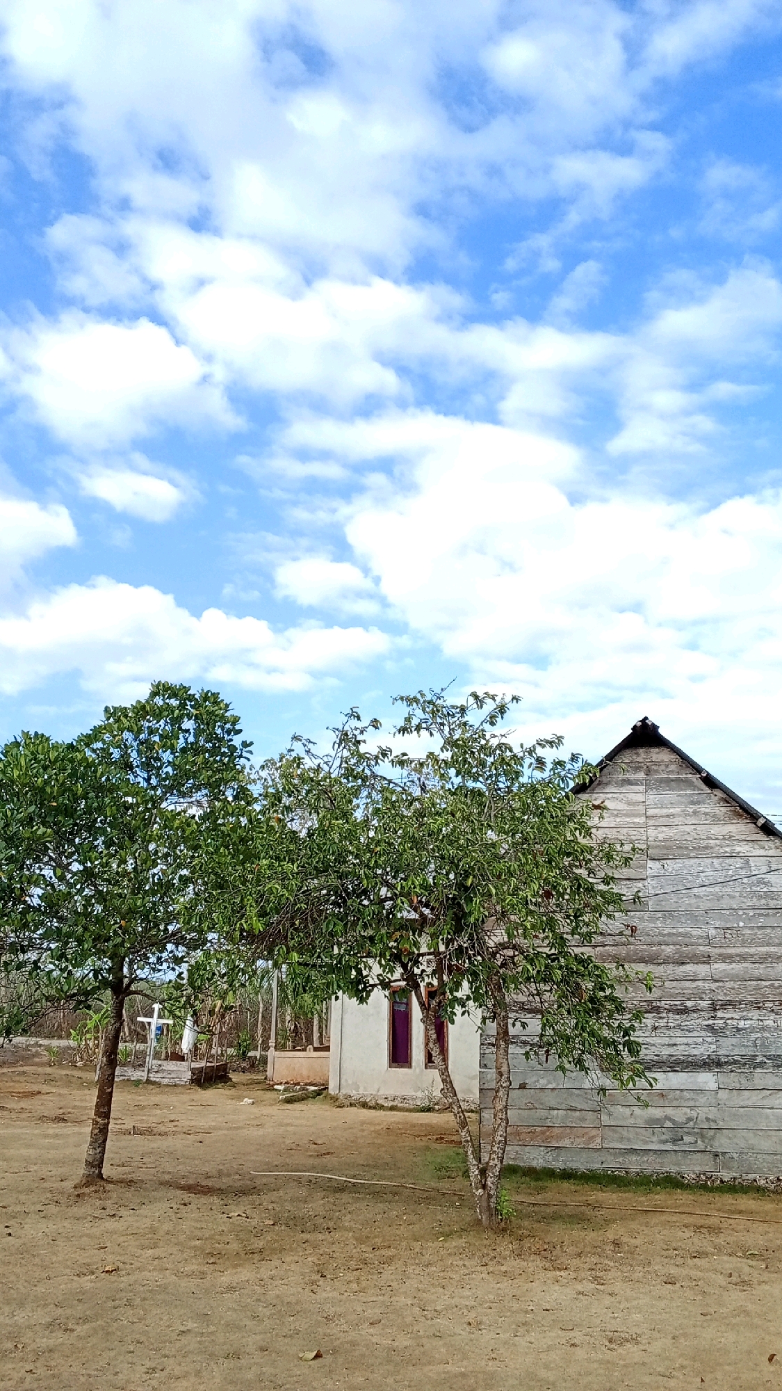 The image depicts an outdoor scene in Themin, Indonesia, under a bright blue sky with scattered white clouds. In the foreground, the ground is dry and sandy with sparse patches of grass. Two trees with green foliage are prominent, one on the left with a thicker trunk and another to the right with a more slender, forked trunk.
Behind the trees, a small, light-colored building with purple-tinted windows is visible. To the right of this building is a larger, weathered wooden structure with a sloping roof. The wood siding of this structure appears aged and has horizontal planks. In the background, beyond the buildings and trees, there is vegetation and what appears to be a simple white cross structure. The overall impression is of a rural or semi-rural setting. There are no people present in the image.