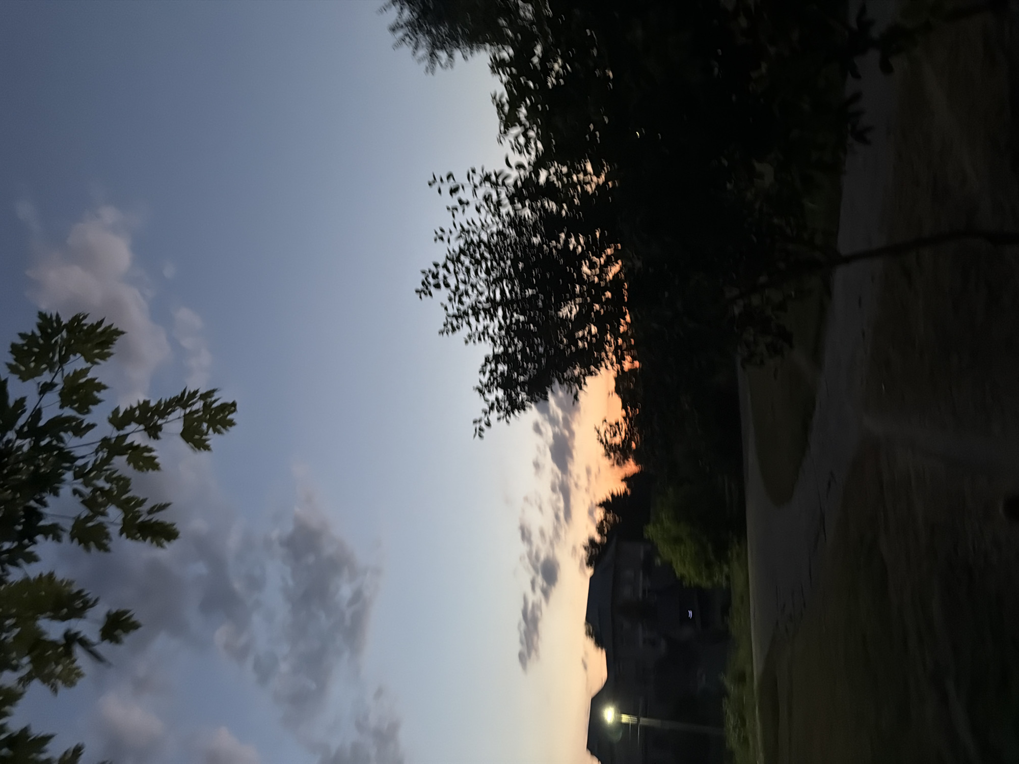 The image captures a twilight scene in the city of Strășeni, Moldova. The sky transitions from a pale blue at the top to a warm orange hue near the horizon, indicating sunset or sunrise. Silhouetted against the colorful sky are several trees with dense foliage, their branches reaching upwards. In the mid-ground, to the left, the outlines of buildings, possibly houses or a larger structure, are visible. A streetlamp on a pole casts a bright light on the left side of the scene. A paved pathway curves through the foreground, which is mostly in shadow, suggesting it is either a park, a residential area, or a street. The overall impression is one of a peaceful, late evening or early morning in a suburban or semi-rural part of Strășeni.