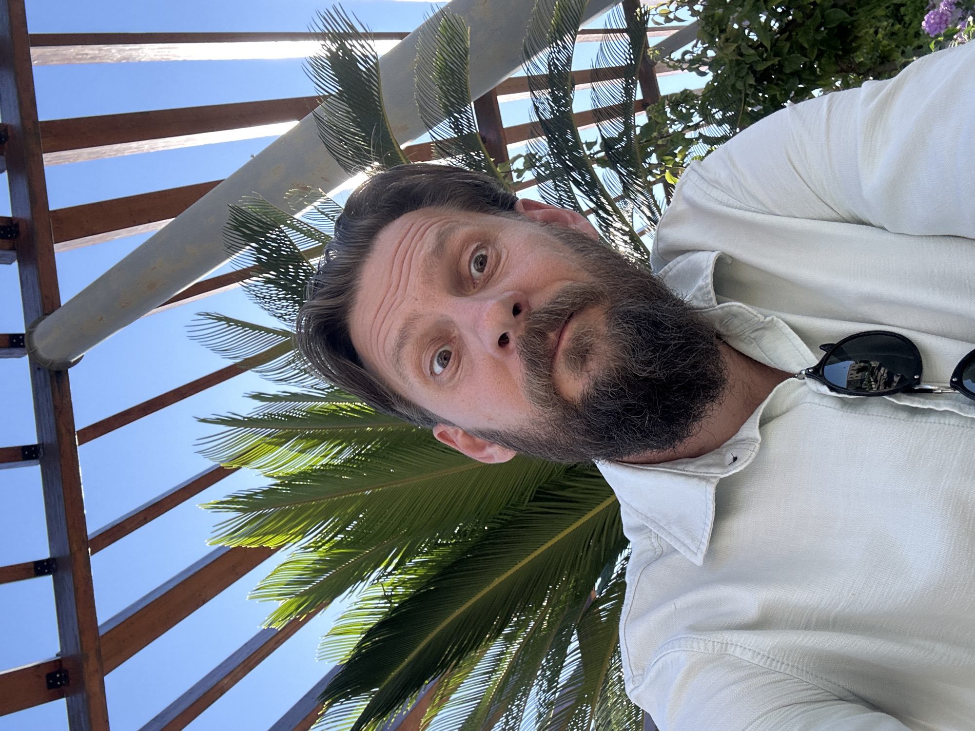 An upward-angled close-up shot features a man with brown hair and a dark beard, looking directly at the camera with wide, slightly surprised eyes. He is wearing a light-colored, possibly white or cream, collared shirt, with black sunglasses resting on his collar on the right side of the frame.
The background reveals a bright, clear blue sky, partially obscured by the wooden slats of a pergola structure. Vibrant green palm fronds are prominent, interspersed throughout the frame and backlit by the sun, indicating an outdoor, sunny setting. Additional green foliage, including hints of purple flowers, can be seen in the upper right corner. A light-colored cylindrical pipe or beam is also visible running diagonally across the upper left portion of the image.
The bright lighting suggests it is daytime with clear weather. The overall scene, with the pergola and palm trees, points to a location in a warm climate, consistent with Fethiye, Turkey. The man appears to be posing for a photograph. There is no visible text in the image.