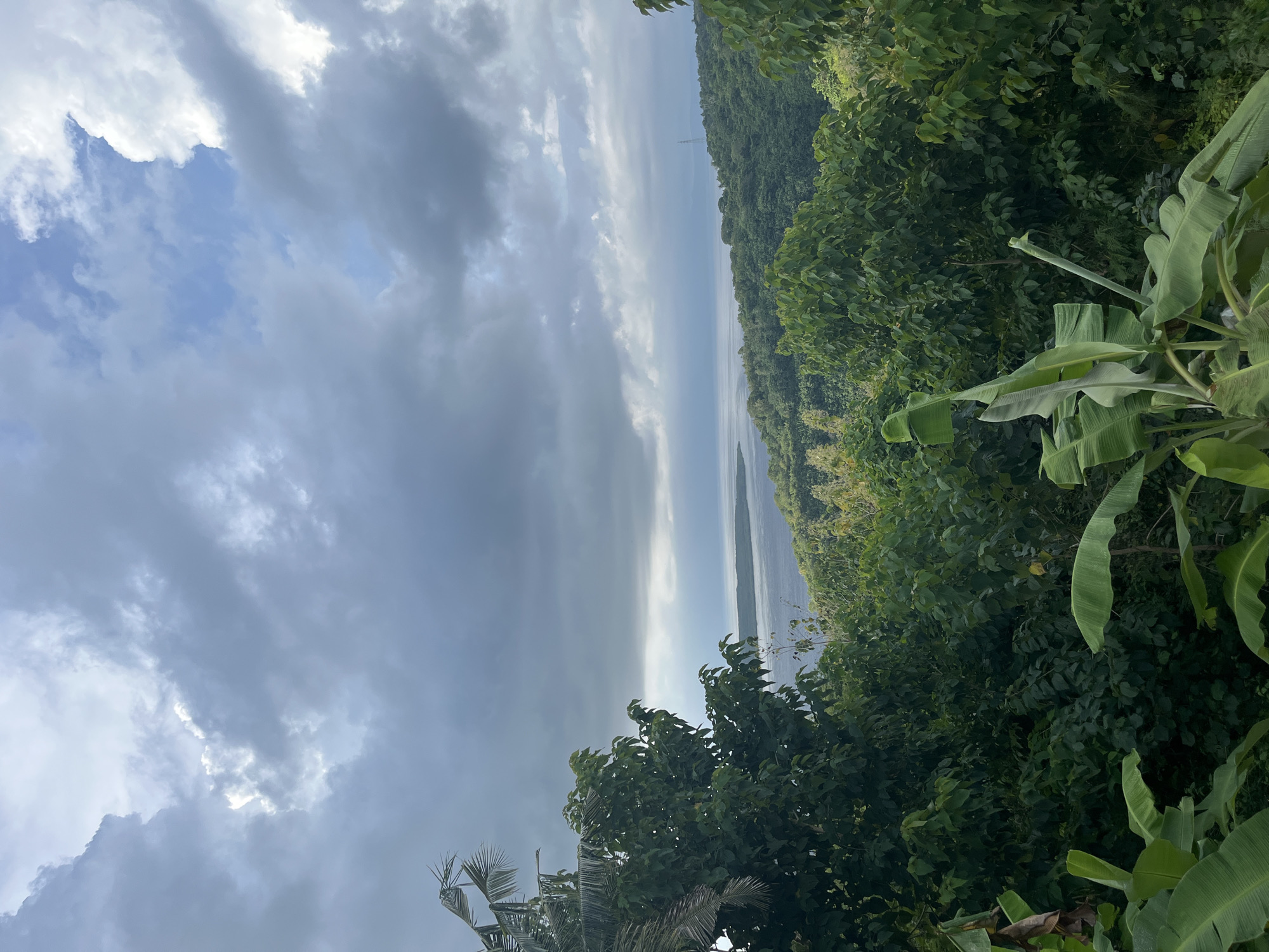 The image presents a landscape view from Nusa Penida, Indonesia, featuring a clouded sky over a body of water that extends to a distant treeline. The foreground is dominated by lush, green vegetation, including various trees and banana plants. An electrical power line tower is visible near the top of the distant treeline. The sky is filled with gray and white clouds.