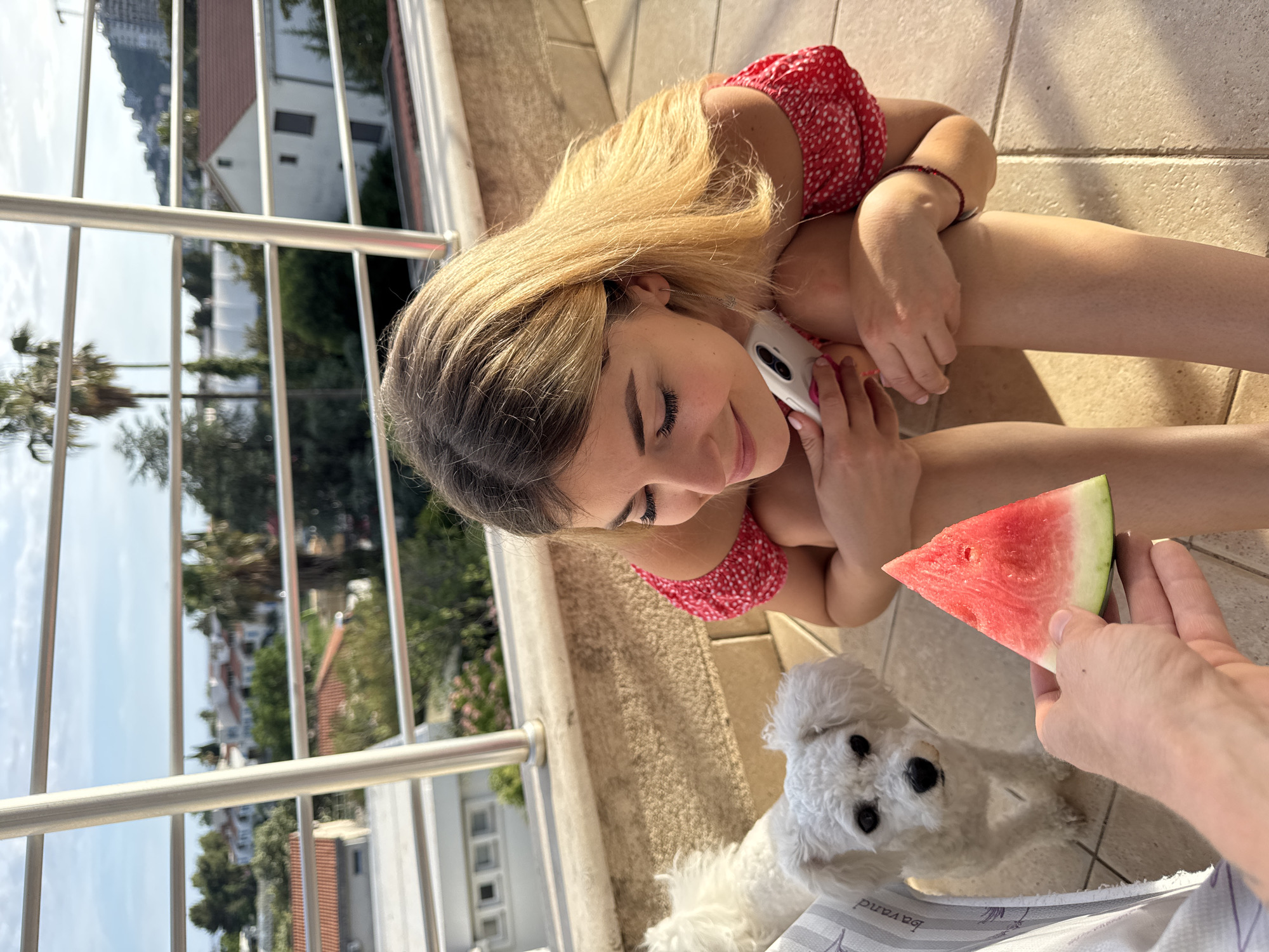 An outdoor scene captured from a balcony in Budva, Montenegro, shows a young woman and a white fluffy dog interacting with a slice of watermelon. The woman, with blonde hair and wearing a red polka-dotted off-shoulder top, is seated on the light-tiled balcony floor, smiling downwards while holding a white smartphone. To her left, a human hand extends a triangular slice of red watermelon towards a small white dog, possibly a Maltese, which is positioned on the left side of the frame, looking directly at the watermelon. The balcony features a low concrete wall and a silver metal railing. Beyond the railing, a cityscape view typical of Budva unfolds under a partly cloudy blue sky. This includes white buildings with red-tiled roofs, lush green trees (including palm trees), and a distant mountainous backdrop dotted with additional structures. The scene is illuminated by natural sunlight, casting visible shadows.